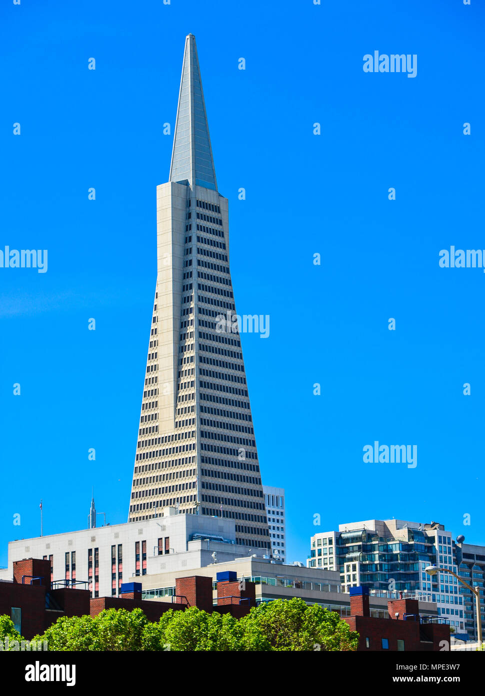 Transamerica Pyramid Building - San Francisco, CA Stockfoto