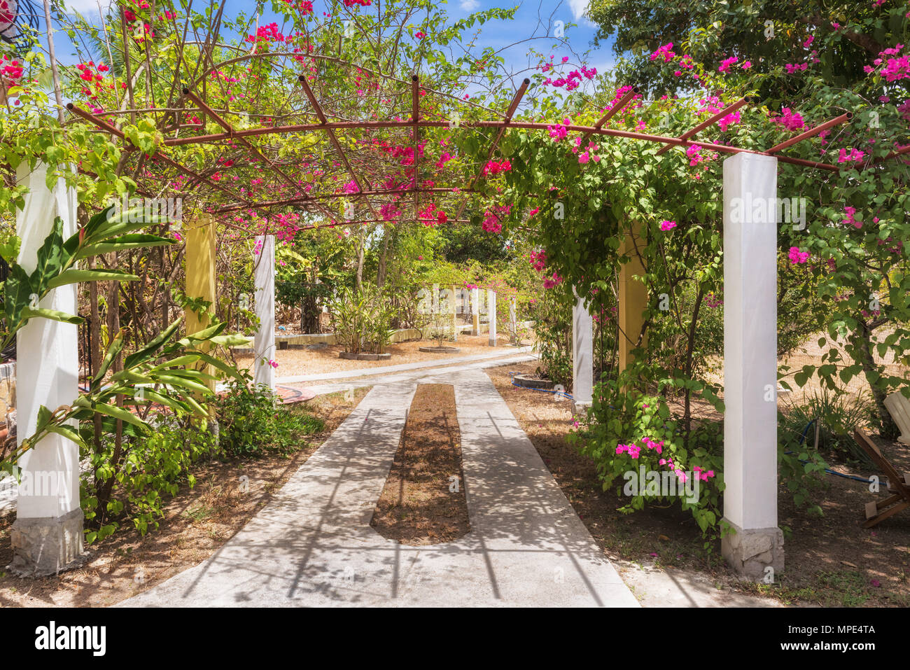 Blick auf das malerische Eingang zum Garten, in Ocu Panama Stockfoto