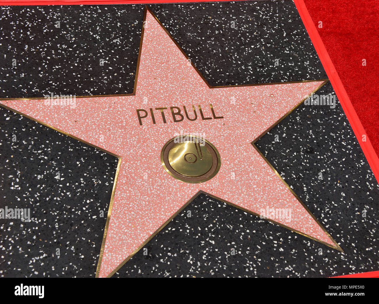Pittbull - Stern Walk of Fame019 Fallgrube geehrt mit einem Stern auf dem  Hollywood Walk of Fame in Los Angeles. 15. JULI 2016. - pittbull Stern Walk  of Fame019 Veranstaltung in Hollywood