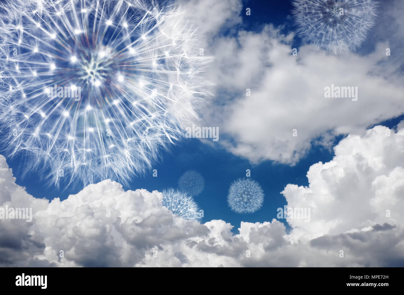 Löwenzahn gegen den blauen Himmel in den Wolken. Blowball fliegen in den Wind und Benutzerfreundlichkeit symbolisieren, der Stimmung und der leicht laid-back Hintergrund Stockfoto