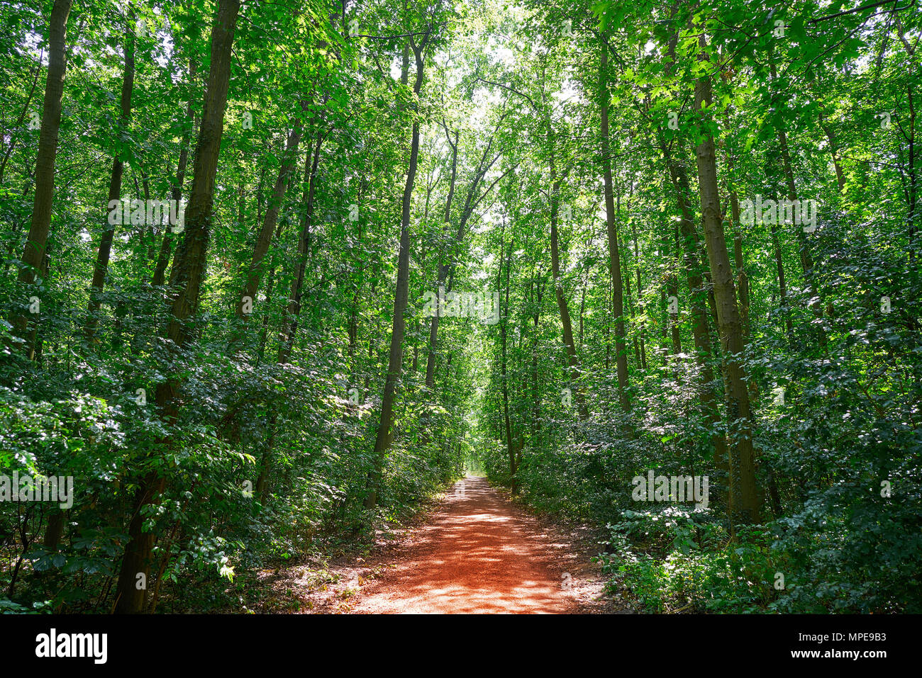 Unesco-Naturpark Bergstraße Odenwald in Deutschland Stockfoto