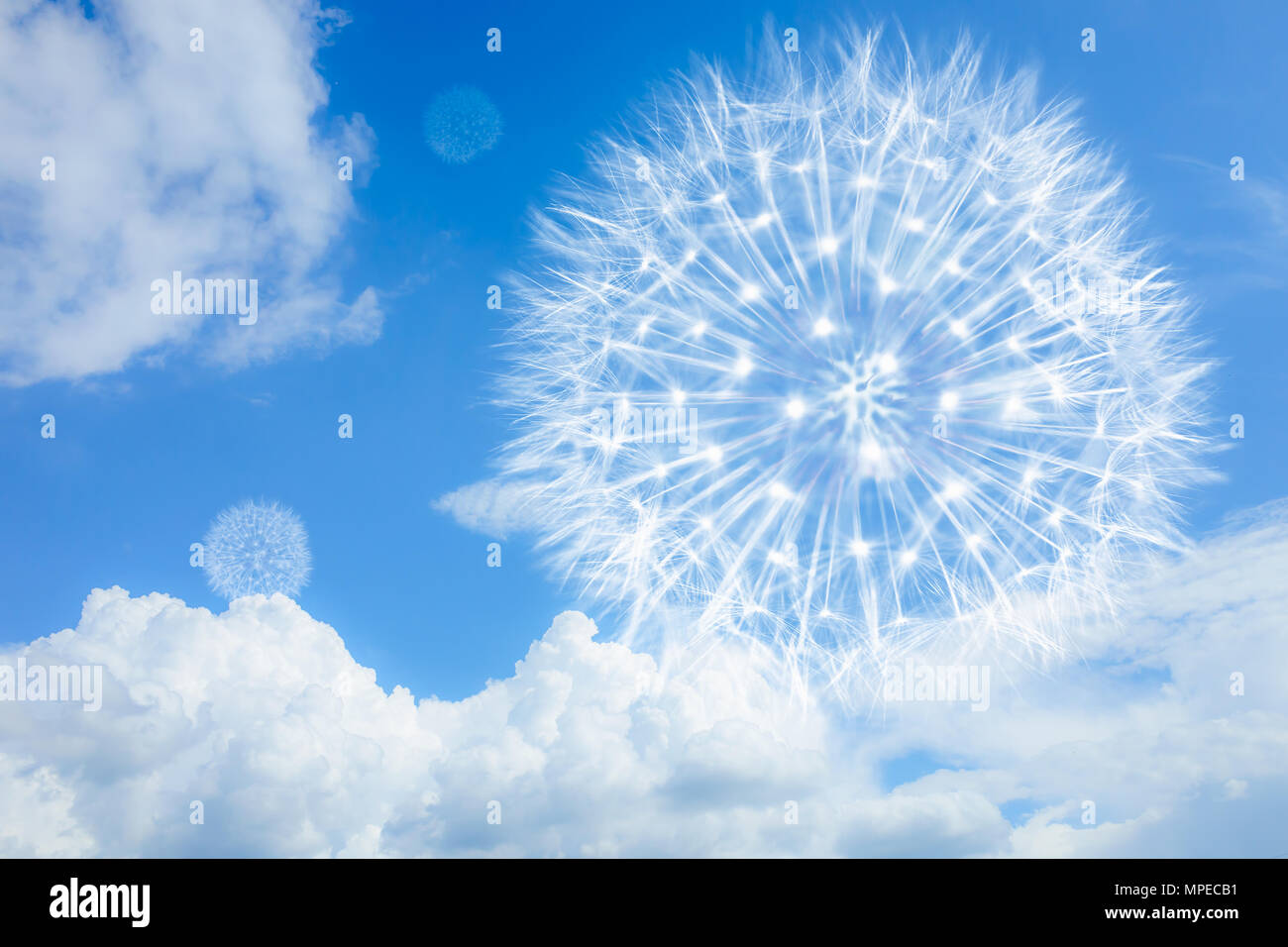 Hell und luftig Löwenzahn auf einem blauen Hintergrund mit Wolken. Blowball als Symbol für Leichtigkeit, kalorienarme Ernährung, Reisen und Flug. Stockfoto