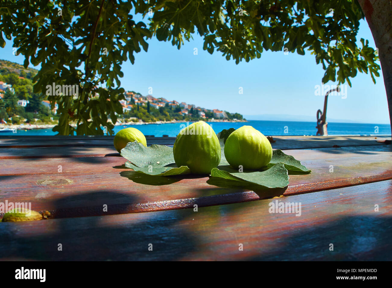 Bild auf einem Tisch unter einem Baum und die kroatische Küste und Meer im Hintergrund. Panorama. Stockfoto