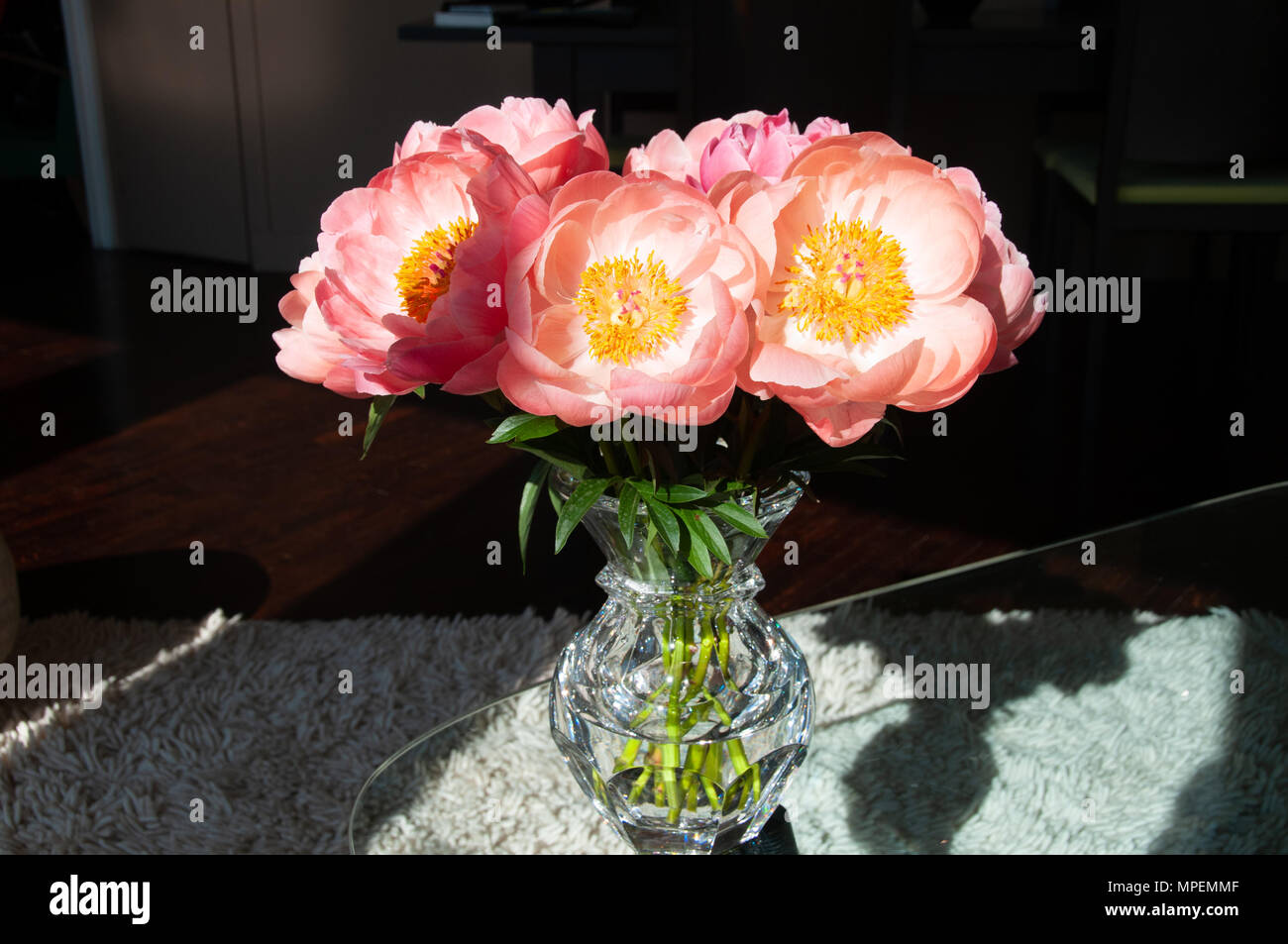 Rosa pfingstrose Blüten in einem Kristall vase Stockfoto