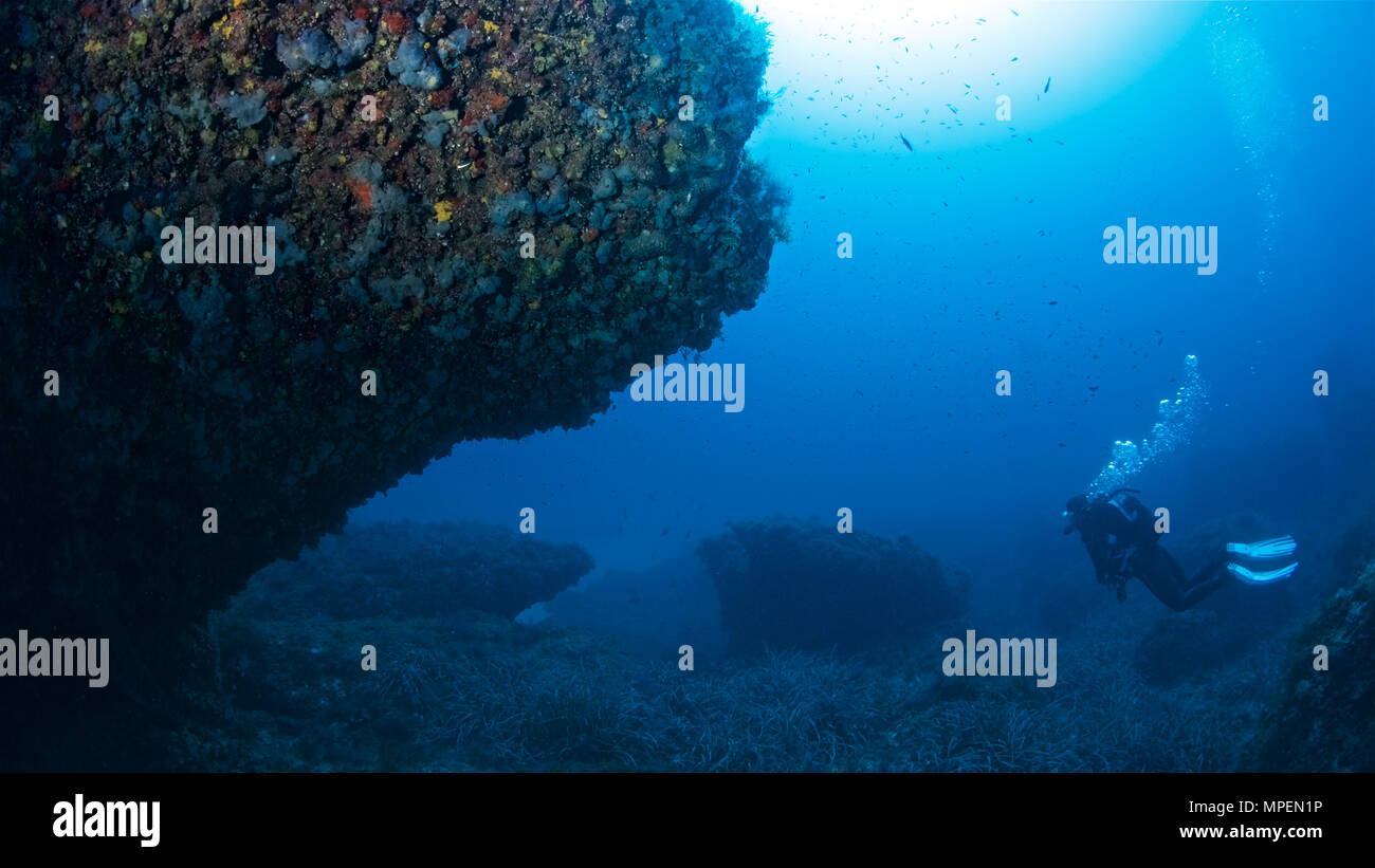 Unterwasser Szene eines Scuba Diver über einen Neptun Seegras (Posidonia oceanica) Wiese in Ses Salines Naturpark (Formentera, Balearen, Spanien) Stockfoto