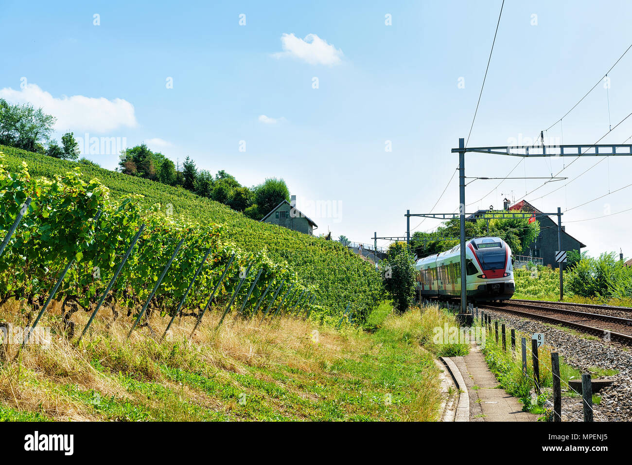 Lavaux, Schweiz - 30 August 2016: Mit dem Zug in der Nähe von Lavaux Weinberge Terrasse Wanderweg, Bezirk Lavaux-Oron in Schweizer Stockfoto