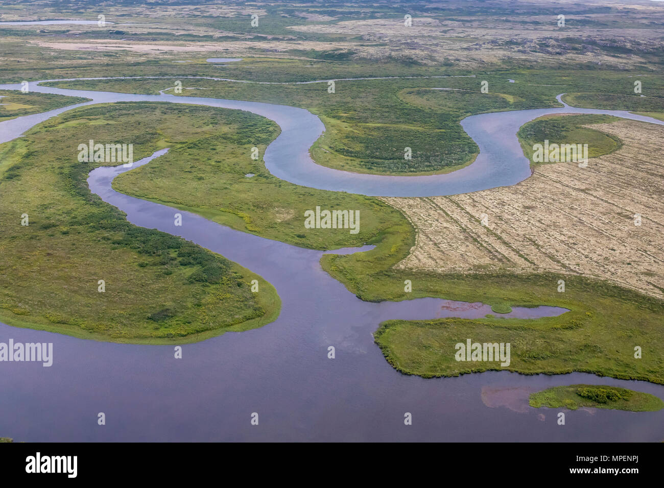 Wilde Landschaften, Katmai Stockfoto