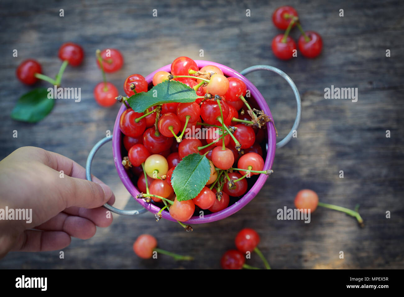 Sweet cherry in kleinen Schaufel auf hölzernen Tisch Reif Stockfoto
