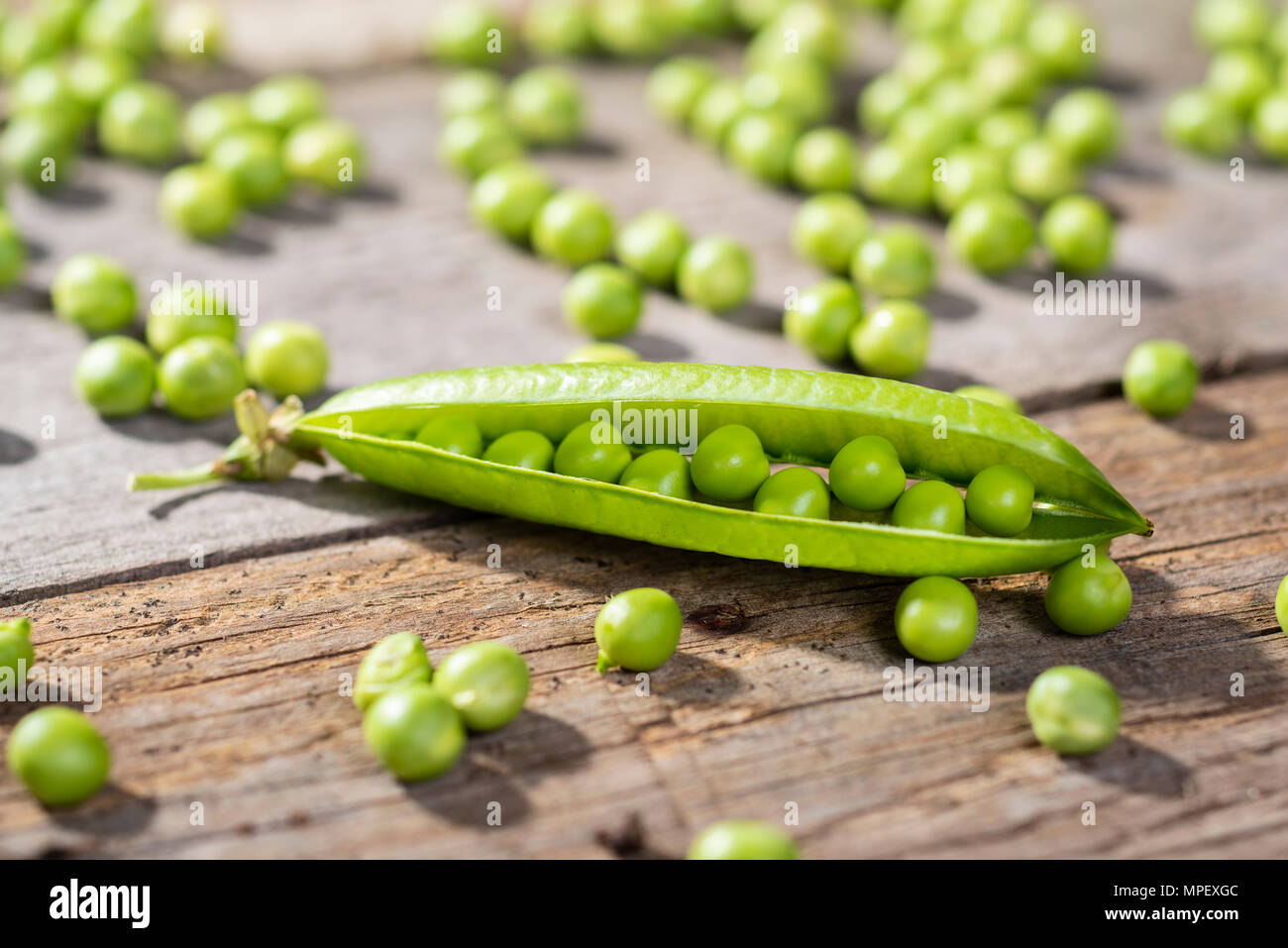 Pea Körner auf dem Boden Stockfoto