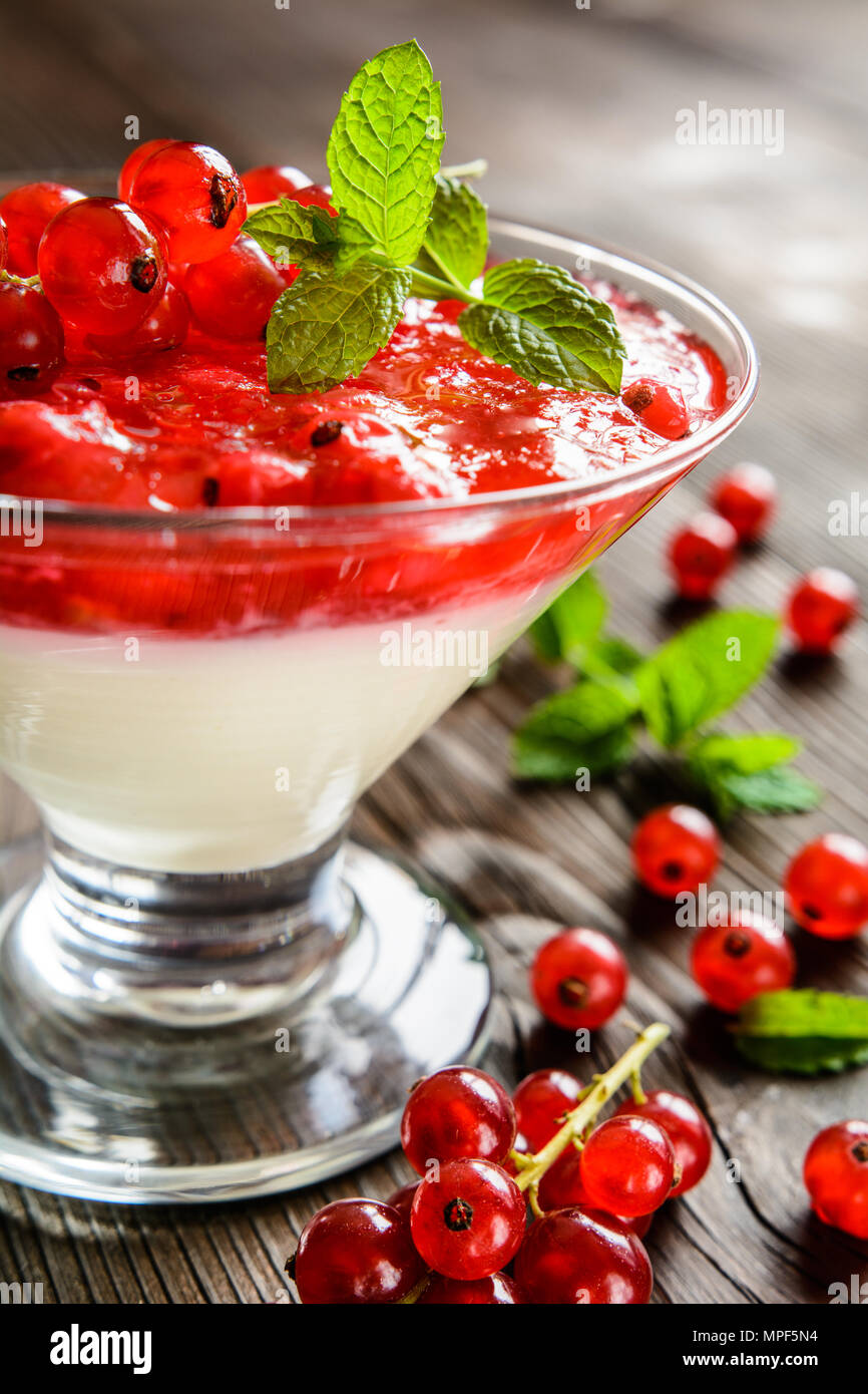 Dessert Panna cotta mit frischen Johannisbeeren in einem Glas Stockfoto