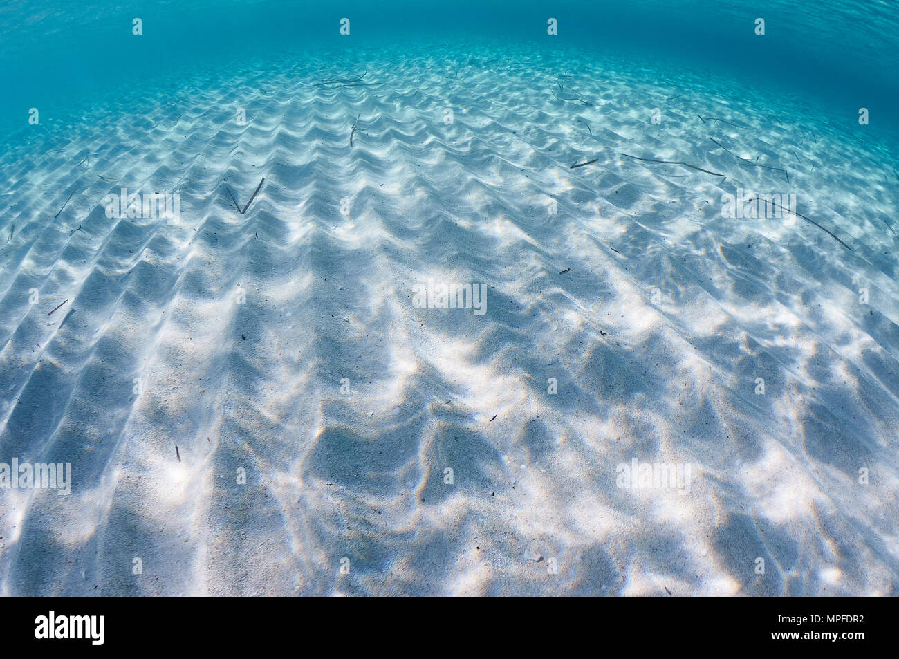 Unterwasser Marine einer endlosen sandigen Boden mit Sand Wellen und Oberfläche Reflexionen in Ses Salines Naturpark (Formentera, Balearen, Spanien) Stockfoto