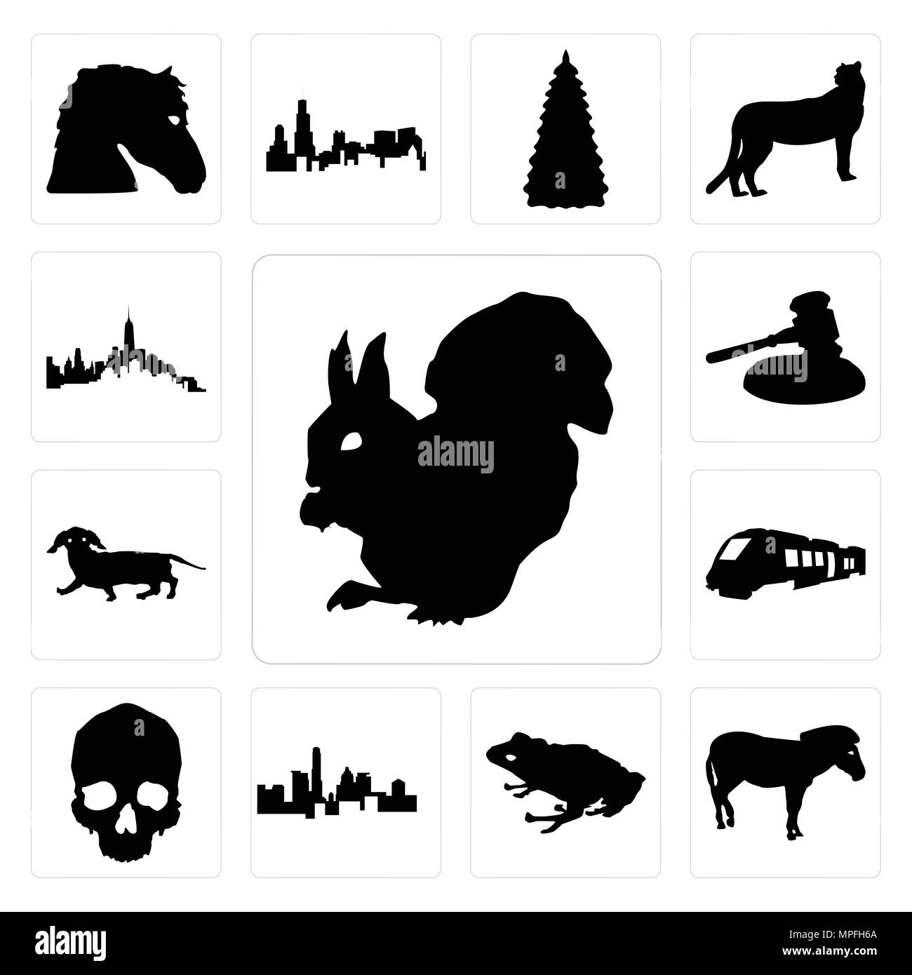 Satz von 13 Einfache editierbare Ikonen wie ein Eichhörnchen auf weißem Hintergrund, Zebra frog Hintergrund kann für mobile verwendet werden, die Web-UI Stock Vektor