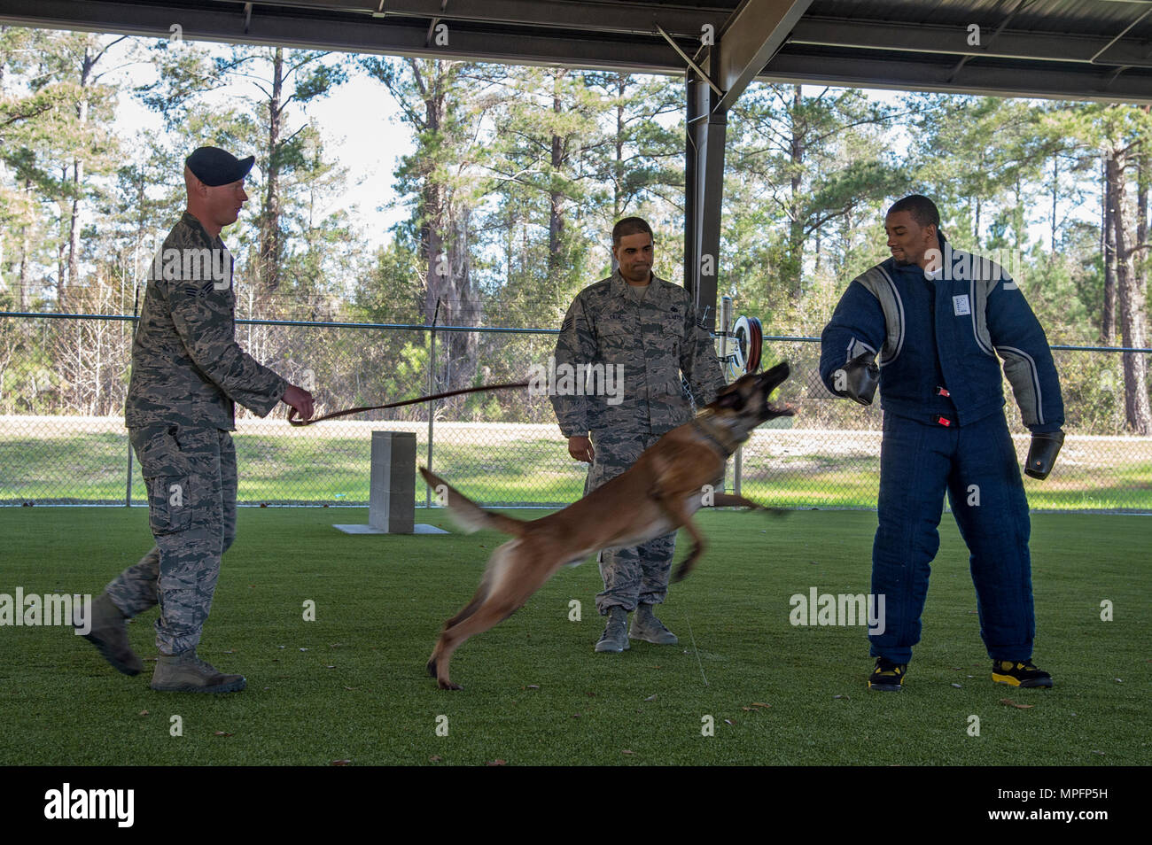 Malcolm Mitchell, rechts, breite New England Patriots' Empfänger und Super Bowl LI Meister, wird von MWD Ttoby bei einem Besuch März 7, 2017 angegriffen, bei Moody Air Force Base, Ga. Mitchell, der ein Valdosta native, erhielten einen Einblick in einen typischen Tag im Leben einiger der Moody's Flieger aus der 23d Fighter Group, 23 d-Gruppe 23d Mission Support Group, und der 820Th Base Defense Group. Bei seinem Besuch, Mitchell verbrachte auch Zeit mit Flieger und Autogramme für Lokalpatrioten Fans. (U.S. Air Force Foto von älteren Flieger Ceaira Junge) Stockfoto