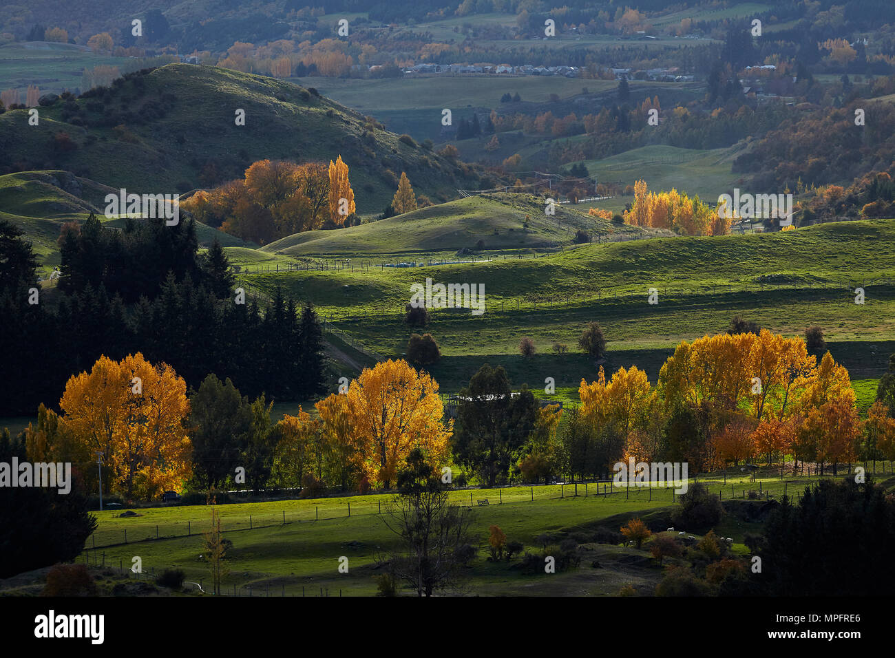 Herbst Farben und Ackerland, Arrowtown, in der Nähe von Queenstown, Otago, Südinsel, Neuseeland Stockfoto