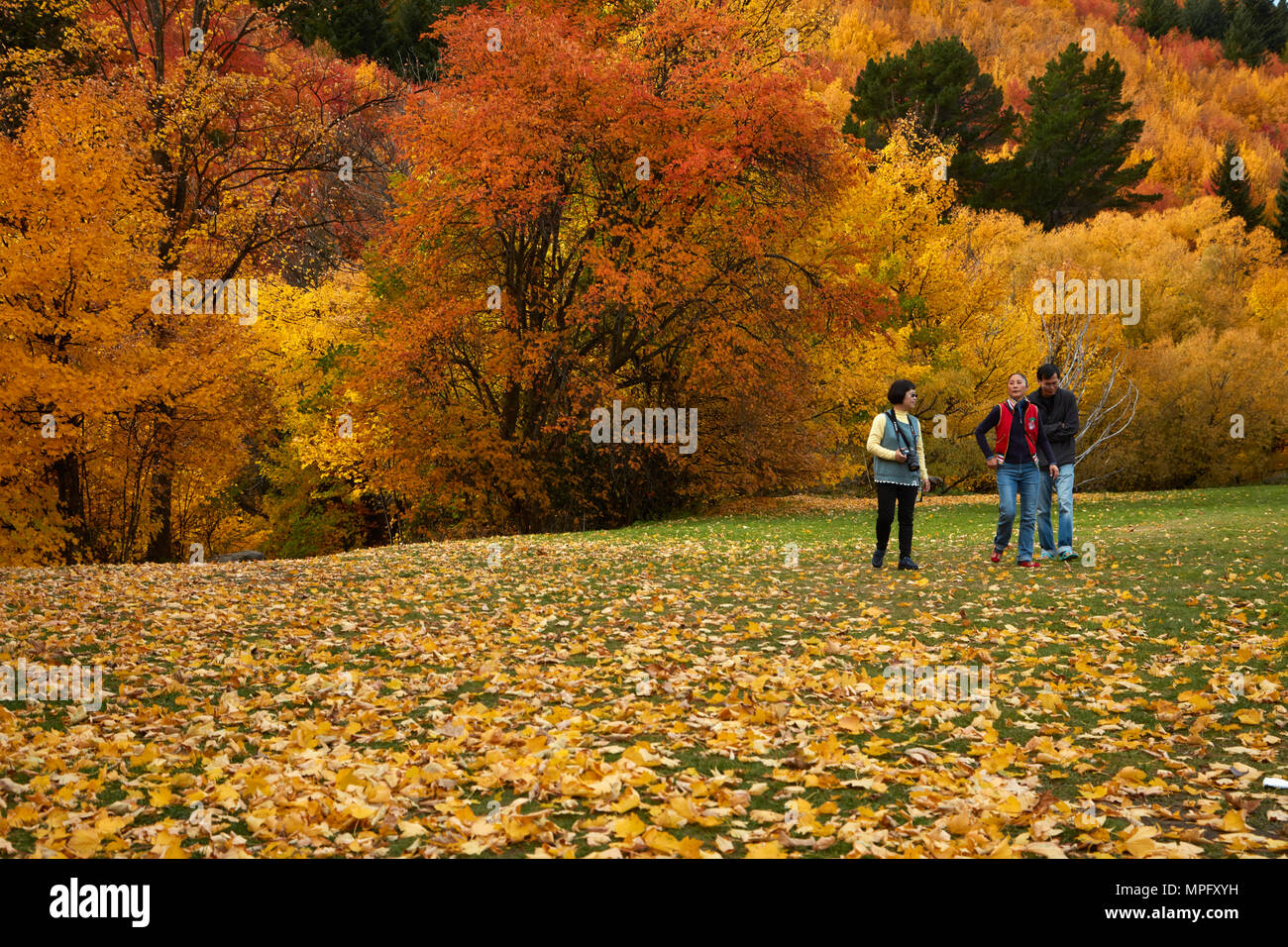 Bäume im Herbst und Touristen auf Wilcox Grün, Arrowtown, in der Nähe von Queenstown, Otago, Südinsel, Neuseeland Stockfoto