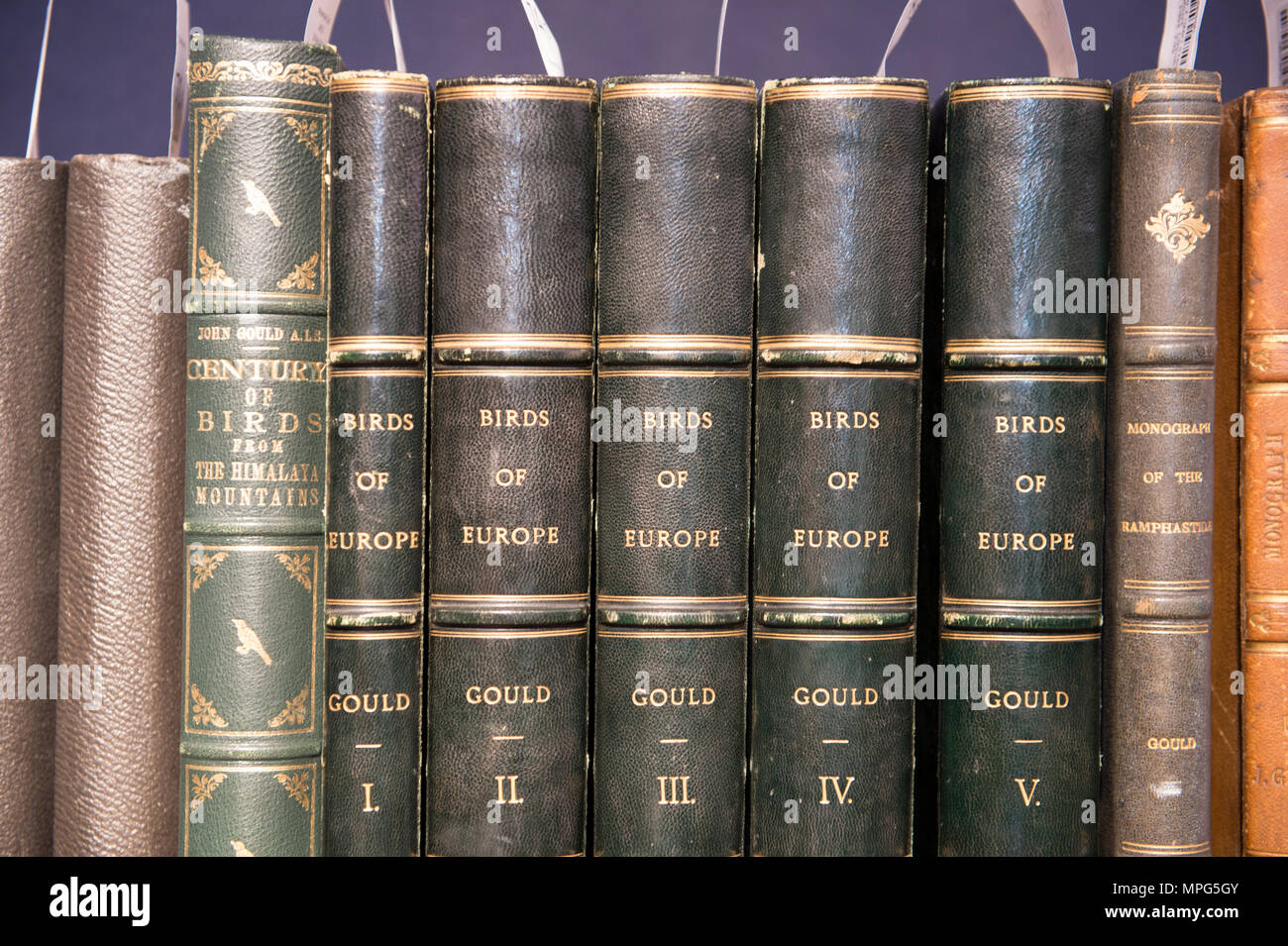 Bonhams, New Bond Street, London, UK. 23 Mai, 2018. Birds of a Feather, eine der schönsten Sammlungen von ornithologische Bücher in privaten Händen - Wassenaar Zoo: eine niederländische Private Bibliothek - ist auf Anzeige bei Bonhams, bevor es am 30. Mai. Die Kollektion enthält auch zoologische Werke auf Katzen, Affen, Fische, Chamäleons, Elefanten und andere Tiere, wurde in den 1950er montiert s die Arbeit von Wassenaar Zoo, die da geschlossen hat, zu ergänzen. Credit: Malcolm Park/Alamy Leben Nachrichten. Stockfoto