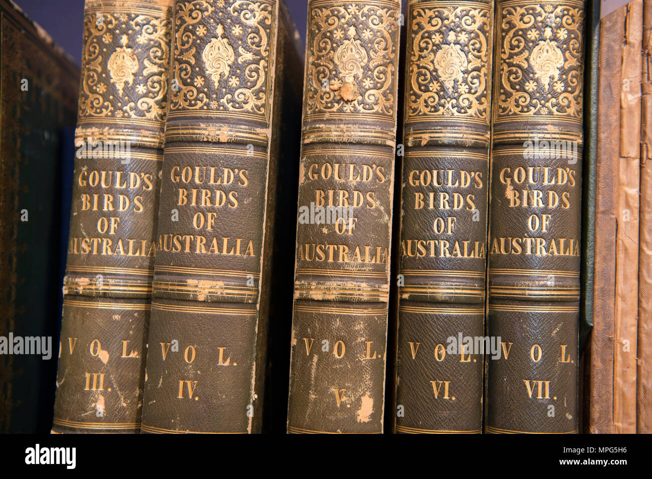 Bonhams, New Bond Street, London, UK. 23 Mai, 2018. Birds of a Feather, eine der schönsten Sammlungen von ornithologische Bücher in privaten Händen - Wassenaar Zoo: eine niederländische Private Bibliothek - ist auf Anzeige bei Bonhams, bevor es am 30. Mai. Die Kollektion enthält auch zoologische Werke auf Katzen, Affen, Fische, Chamäleons, Elefanten und andere Tiere, wurde in den 1950er montiert s die Arbeit von Wassenaar Zoo, die da geschlossen hat, zu ergänzen. Credit: Malcolm Park/Alamy Leben Nachrichten. Stockfoto