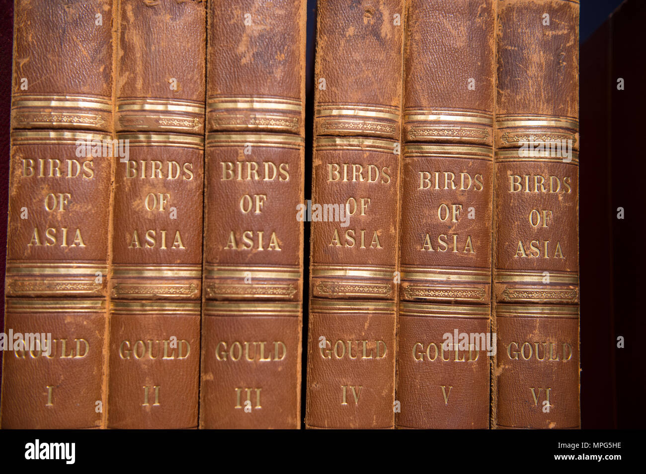 Bonhams, New Bond Street, London, UK. 23 Mai, 2018. Birds of a Feather, eine der schönsten Sammlungen von ornithologische Bücher in privaten Händen - Wassenaar Zoo: eine niederländische Private Bibliothek - ist auf Anzeige bei Bonhams, bevor es am 30. Mai. Die Kollektion enthält auch zoologische Werke auf Katzen, Affen, Fische, Chamäleons, Elefanten und andere Tiere, wurde in den 1950er montiert s die Arbeit von Wassenaar Zoo, die da geschlossen hat, zu ergänzen. Credit: Malcolm Park/Alamy Leben Nachrichten. Stockfoto
