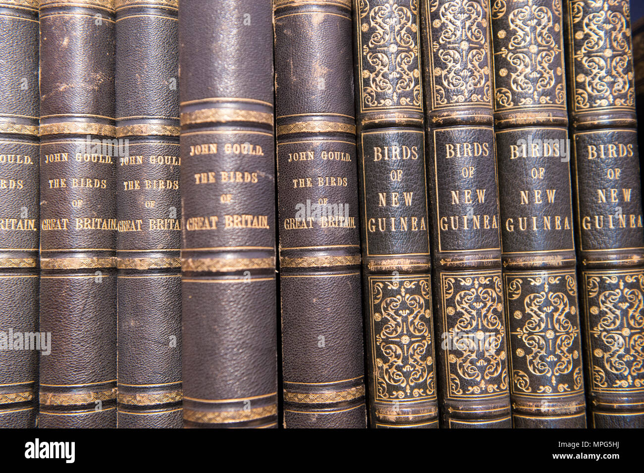 Bonhams, New Bond Street, London, UK. 23 Mai, 2018. Birds of a Feather, eine der schönsten Sammlungen von ornithologische Bücher in privaten Händen - Wassenaar Zoo: eine niederländische Private Bibliothek - ist auf Anzeige bei Bonhams, bevor es am 30. Mai. Die Kollektion enthält auch zoologische Werke auf Katzen, Affen, Fische, Chamäleons, Elefanten und andere Tiere, wurde in den 1950er montiert s die Arbeit von Wassenaar Zoo, die da geschlossen hat, zu ergänzen. Credit: Malcolm Park/Alamy Leben Nachrichten. Stockfoto