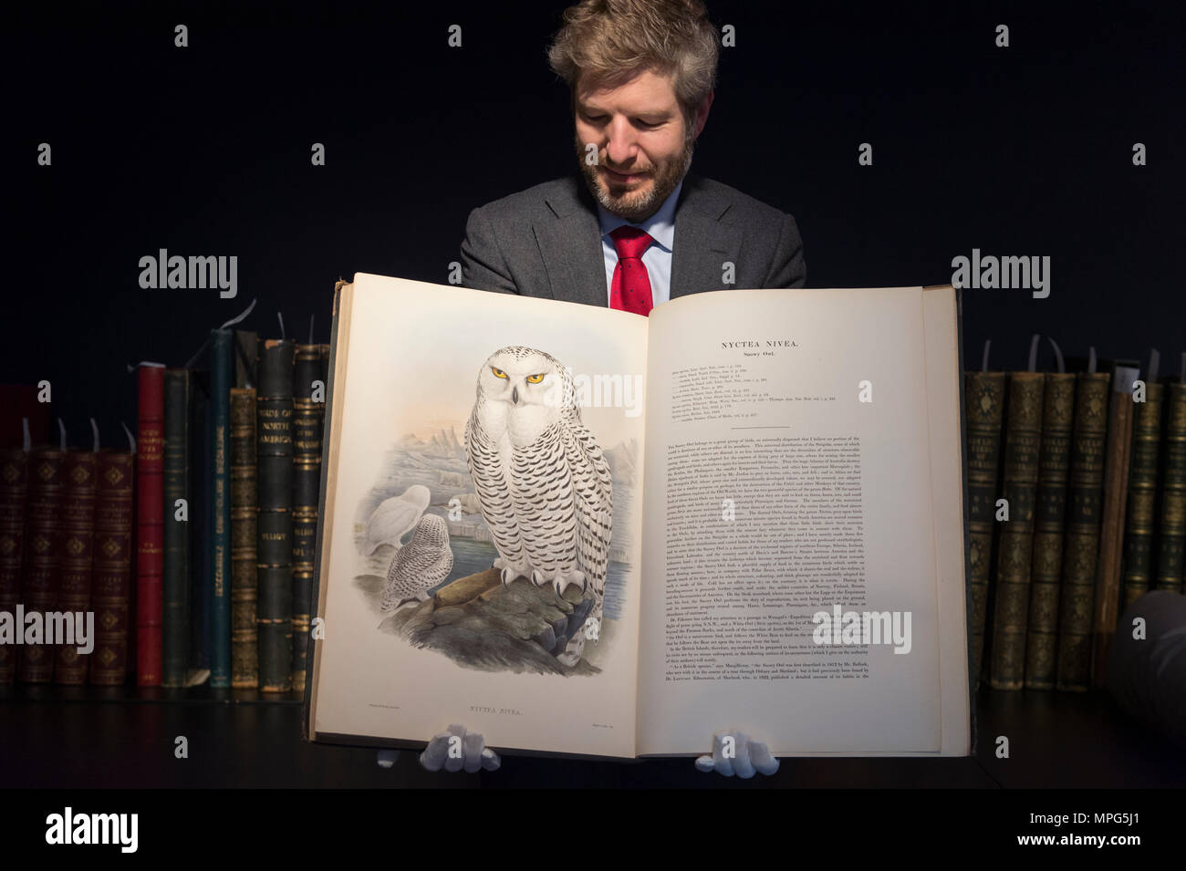 Bonhams, New Bond Street, London, UK. 23 Mai, 2018. Birds of a Feather, eine der schönsten Sammlungen von ornithologische Bücher in privaten Händen - Wassenaar Zoo: eine niederländische Private Bibliothek - ist auf Anzeige bei Bonhams, bevor es am 30. Mai. Die Kollektion enthält auch zoologische Werke auf Katzen, Affen, Fische, Chamäleons, Elefanten und andere Tiere, wurde in den 1950er montiert s die Arbeit von Wassenaar Zoo, die da geschlossen hat, zu ergänzen. Foto: Matthew Haley, Leiter der Bücher bei Bonhams, mit der Sammlung. Credit: Malcolm Park/Alamy Leben Nachrichten. Stockfoto