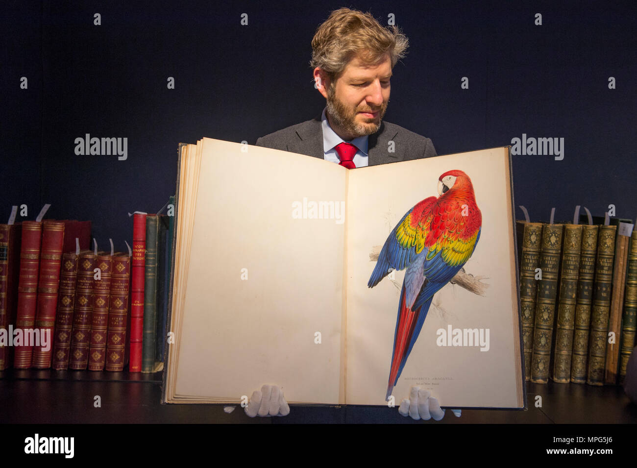 Bonhams, New Bond Street, London, UK. 23 Mai, 2018. Birds of a Feather, eine der schönsten Sammlungen von ornithologische Bücher in privaten Händen - Wassenaar Zoo: eine niederländische Private Bibliothek - ist auf Anzeige bei Bonhams, bevor es am 30. Mai. Die Kollektion enthält auch zoologische Werke auf Katzen, Affen, Fische, Chamäleons, Elefanten und andere Tiere, wurde in den 1950er montiert s die Arbeit von Wassenaar Zoo, die da geschlossen hat, zu ergänzen. Foto: Matthew Haley, Leiter der Bücher bei Bonhams, mit der Sammlung. Credit: Malcolm Park/Alamy Leben Nachrichten. Stockfoto