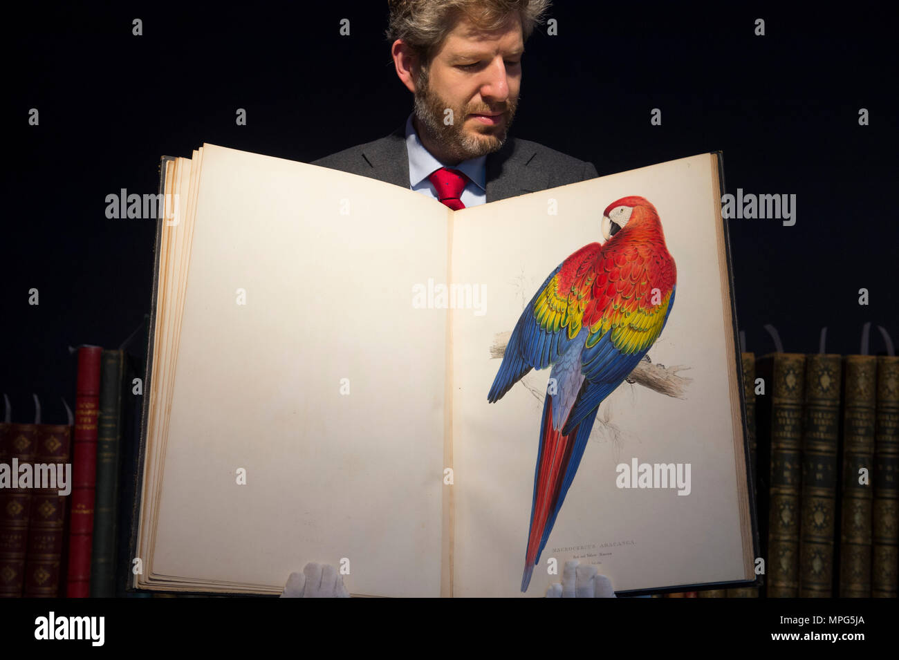Bonhams, New Bond Street, London, UK. 23 Mai, 2018. Birds of a Feather, eine der schönsten Sammlungen von ornithologische Bücher in privaten Händen - Wassenaar Zoo: eine niederländische Private Bibliothek - ist auf Anzeige bei Bonhams, bevor es am 30. Mai. Die Kollektion enthält auch zoologische Werke auf Katzen, Affen, Fische, Chamäleons, Elefanten und andere Tiere, wurde in den 1950er montiert s die Arbeit von Wassenaar Zoo, die da geschlossen hat, zu ergänzen. Foto: Matthew Haley, Leiter der Bücher bei Bonhams, mit der Sammlung. Credit: Malcolm Park/Alamy Leben Nachrichten. Stockfoto