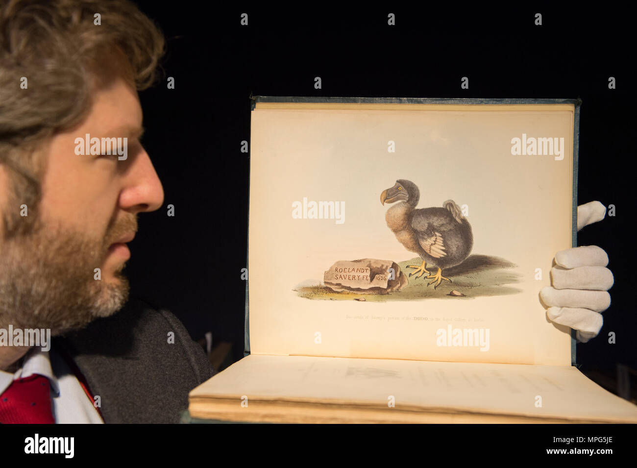 Bonhams, New Bond Street, London, UK. 23 Mai, 2018. Birds of a Feather, eine der schönsten Sammlungen von ornithologische Bücher in privaten Händen - Wassenaar Zoo: eine niederländische Private Bibliothek - ist auf Anzeige bei Bonhams, bevor es am 30. Mai. Die Kollektion enthält auch zoologische Werke auf Katzen, Affen, Fische, Chamäleons, Elefanten und andere Tiere, wurde in den 1950er montiert s die Arbeit von Wassenaar Zoo, die da geschlossen hat, zu ergänzen. Foto: Matthew Haley, Leiter der Bücher bei Bonhams, mit der Sammlung. Credit: Malcolm Park/Alamy Leben Nachrichten. Stockfoto