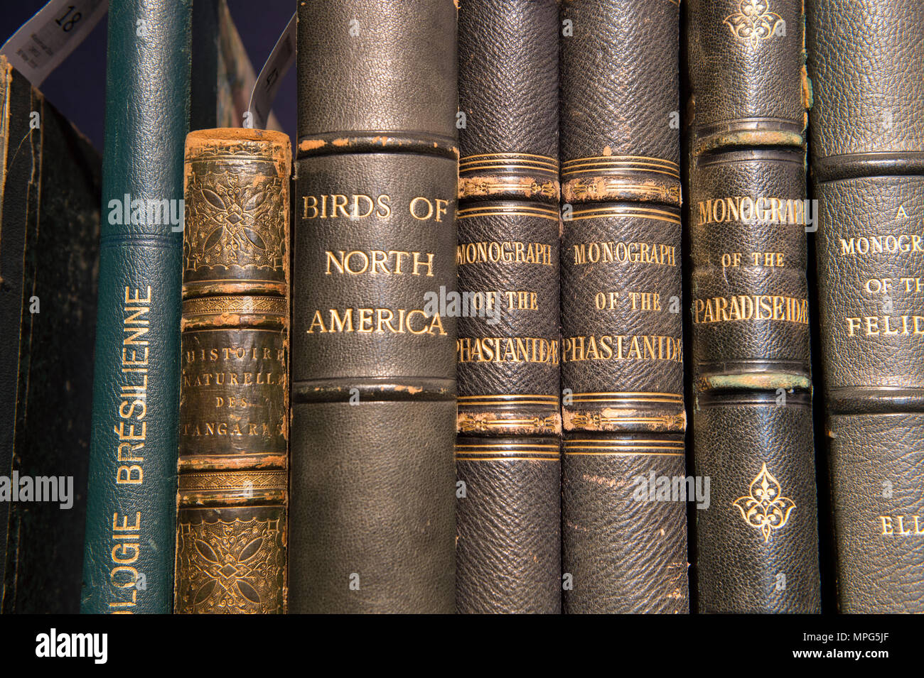 Bonhams, New Bond Street, London, UK. 23 Mai, 2018. Birds of a Feather, eine der schönsten Sammlungen von ornithologische Bücher in privaten Händen - Wassenaar Zoo: eine niederländische Private Bibliothek - ist auf Anzeige bei Bonhams, bevor es am 30. Mai. Die Kollektion enthält auch zoologische Werke auf Katzen, Affen, Fische, Chamäleons, Elefanten und andere Tiere, wurde in den 1950er montiert s die Arbeit von Wassenaar Zoo, die da geschlossen hat, zu ergänzen. Credit: Malcolm Park/Alamy Leben Nachrichten. Stockfoto