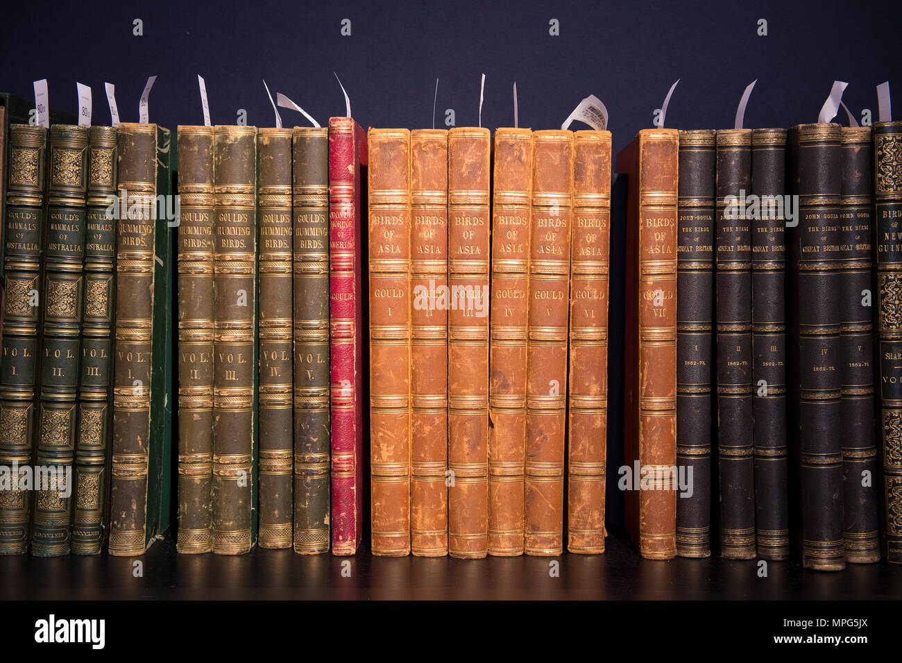 Bonhams, New Bond Street, London, UK. 23 Mai, 2018. Birds of a Feather, eine der schönsten Sammlungen von ornithologische Bücher in privaten Händen - Wassenaar Zoo: eine niederländische Private Bibliothek - ist auf Anzeige bei Bonhams, bevor es am 30. Mai. Die Kollektion enthält auch zoologische Werke auf Katzen, Affen, Fische, Chamäleons, Elefanten und andere Tiere, wurde in den 1950er montiert s die Arbeit von Wassenaar Zoo, die da geschlossen hat, zu ergänzen. Credit: Malcolm Park/Alamy Leben Nachrichten. Stockfoto