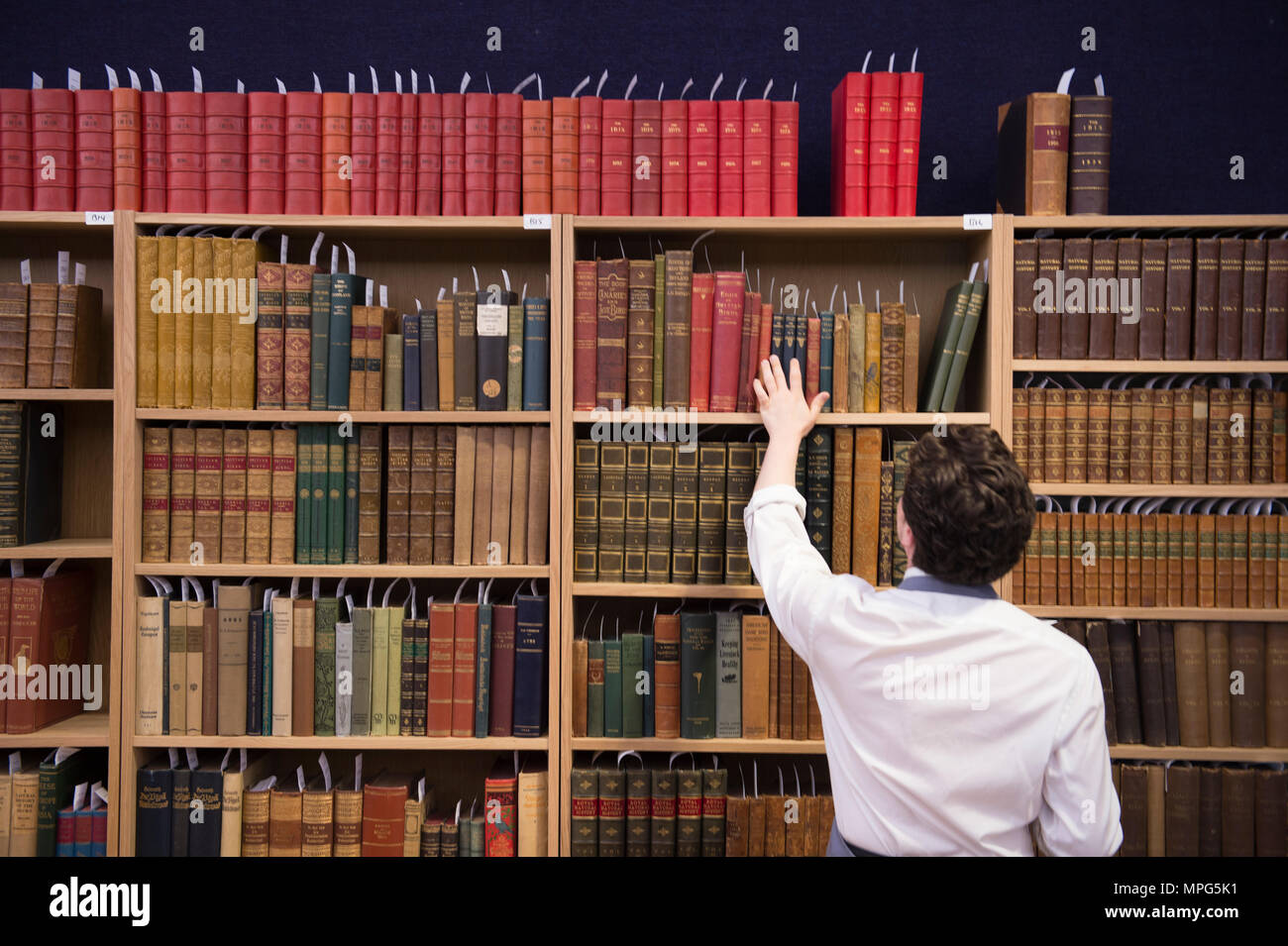 Bonhams, New Bond Street, London, UK. 23 Mai, 2018. Birds of a Feather, eine der schönsten Sammlungen von ornithologische Bücher in privaten Händen - Wassenaar Zoo: eine niederländische Private Bibliothek - ist auf Anzeige bei Bonhams, bevor es am 30. Mai. Die Kollektion enthält auch zoologische Werke auf Katzen, Affen, Fische, Chamäleons, Elefanten und andere Tiere, wurde in den 1950er montiert s die Arbeit von Wassenaar Zoo, die da geschlossen hat, zu ergänzen. Credit: Malcolm Park/Alamy Leben Nachrichten. Stockfoto