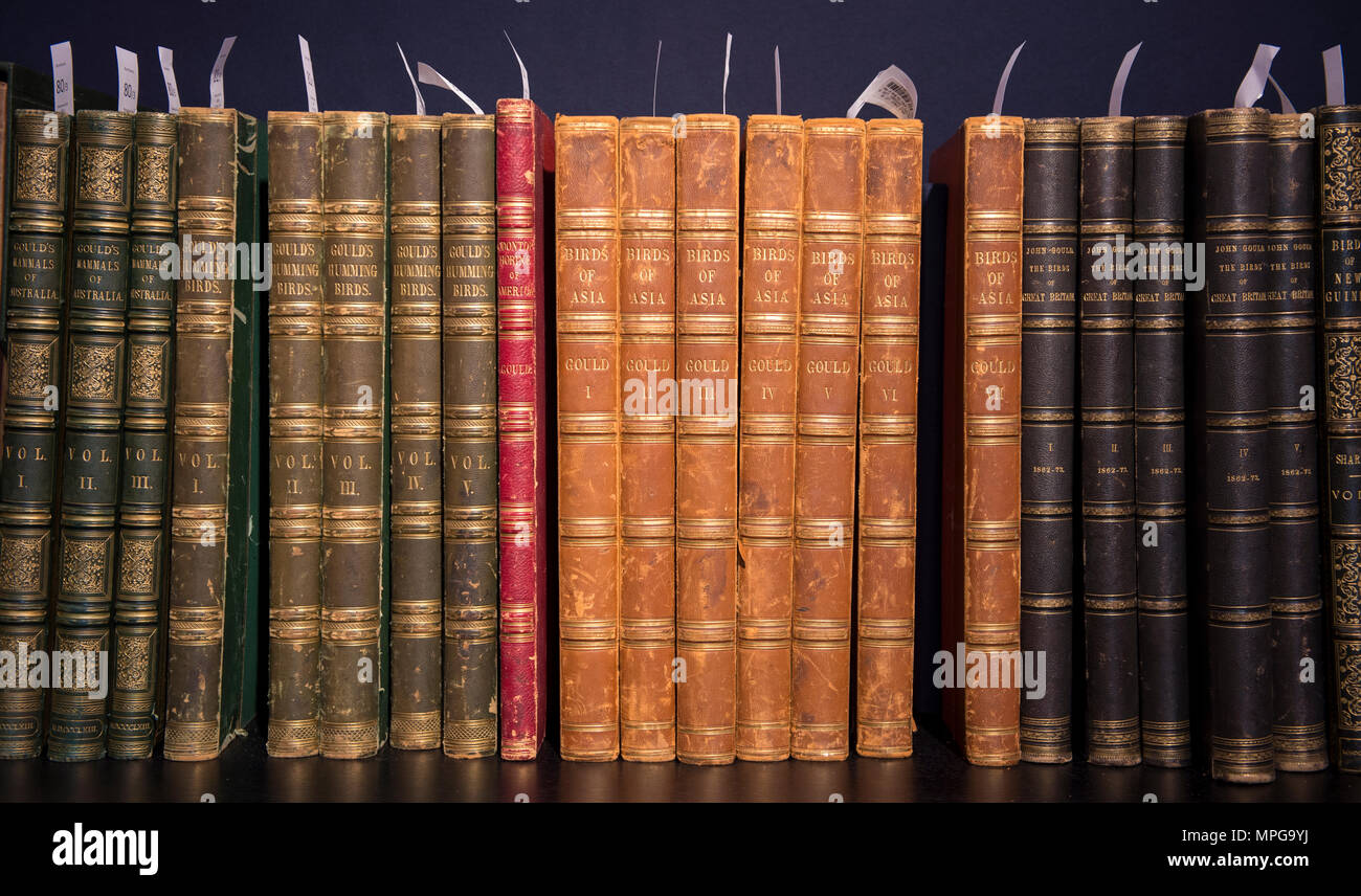 Bonhams, New Bond Street, London, UK. 23 Mai, 2018. Birds of a Feather, eine der schönsten Sammlungen von ornithologische Bücher in privaten Händen - Wassenaar Zoo: eine niederländische Private Bibliothek - ist auf Anzeige bei Bonhams, bevor es am 30. Mai. Die Kollektion enthält auch zoologische Werke auf Katzen, Affen, Fische, Chamäleons, Elefanten und andere Tiere, wurde in den 1950er montiert s die Arbeit von Wassenaar Zoo, die da geschlossen hat, zu ergänzen. Credit: Malcolm Park/Alamy Leben Nachrichten. Stockfoto