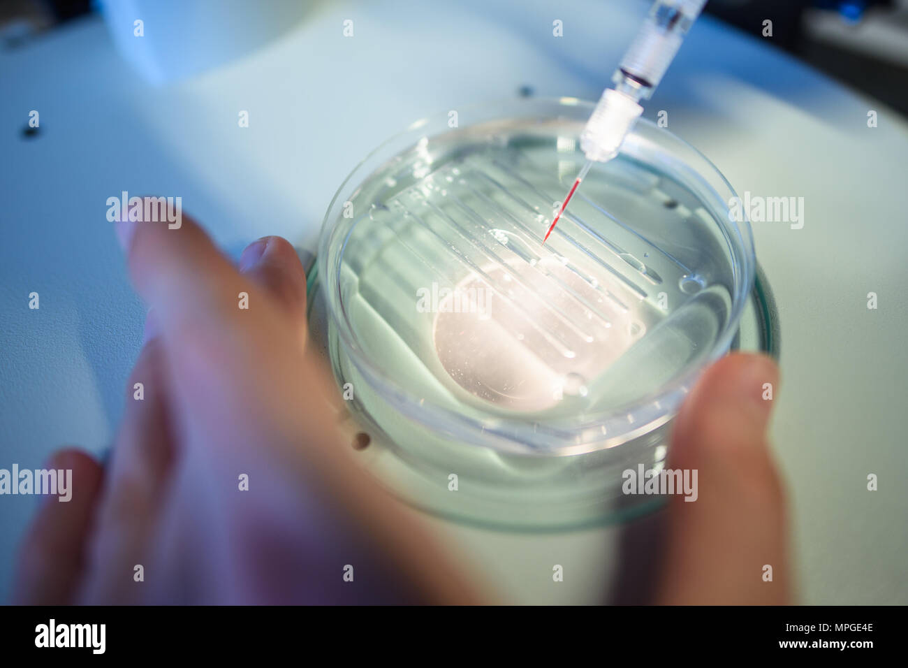 22. Mai 2018, Deutschland, Berlin: ein Forscher führt eine CRISPR/Cas 9 Prozess am Max-Delbrueck-Center für Molekulare Medizin. Foto: Gregor Fischer/dpa Stockfoto