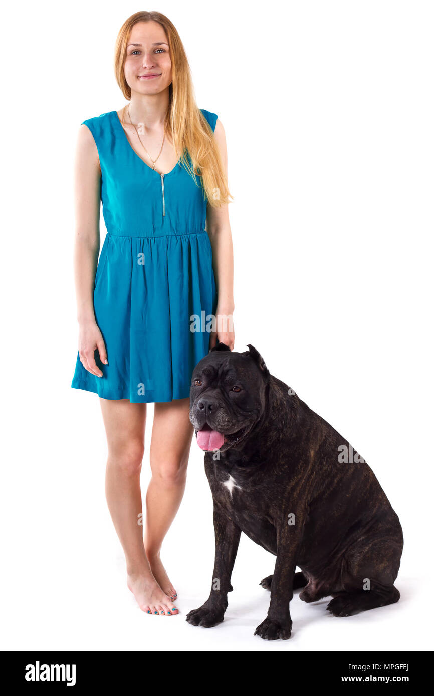 Mädchen in einem blauen Kleid vor, die neben einem großen Hund Cane Corso. isolieren Stockfoto