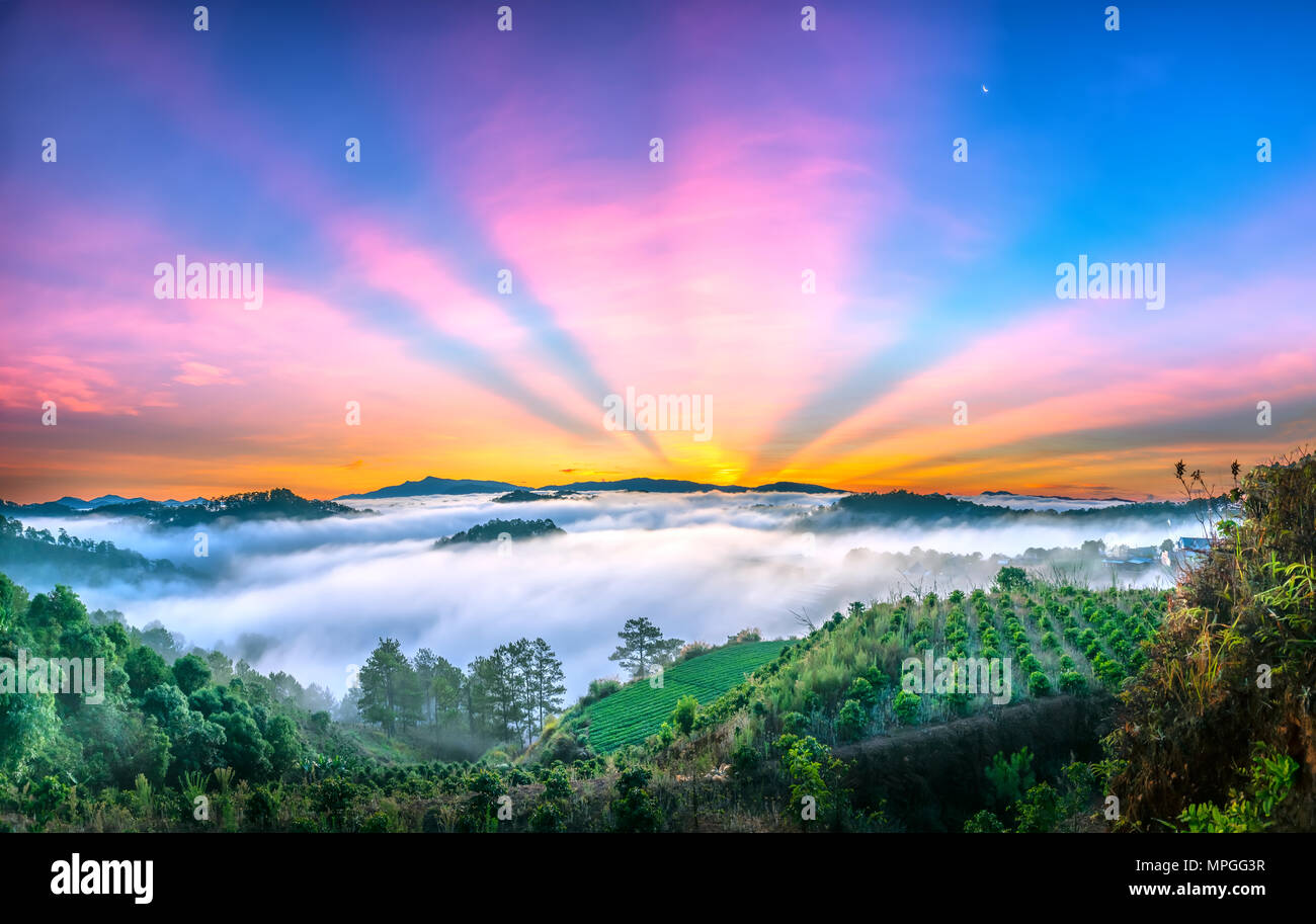 Misty Morning auf der Hochebene von Da Lat, Vietnam. Es hat ein mildes Klima geeignet für Wochenendaufenthalte für Besucher Stockfoto