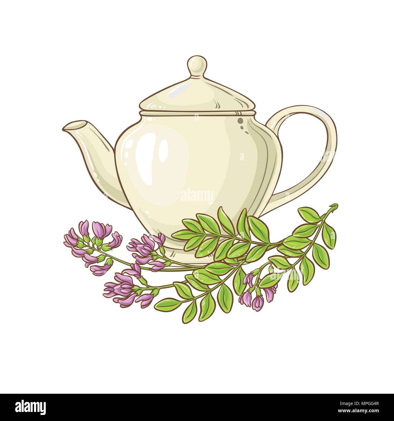 Astragal Kaffee Vector Illustration auf weißen backgrond Stock Vektor