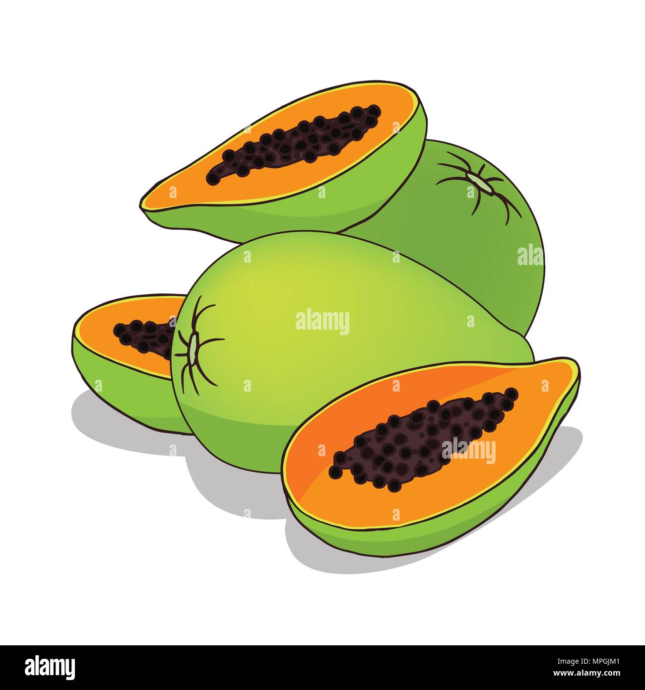 Isolieren papaya auf weißem Hintergrund. Close up clipart mit Schatten in flachen realistische Cartoon Stil. Symbol Hand gezeichnet Stock Vektor