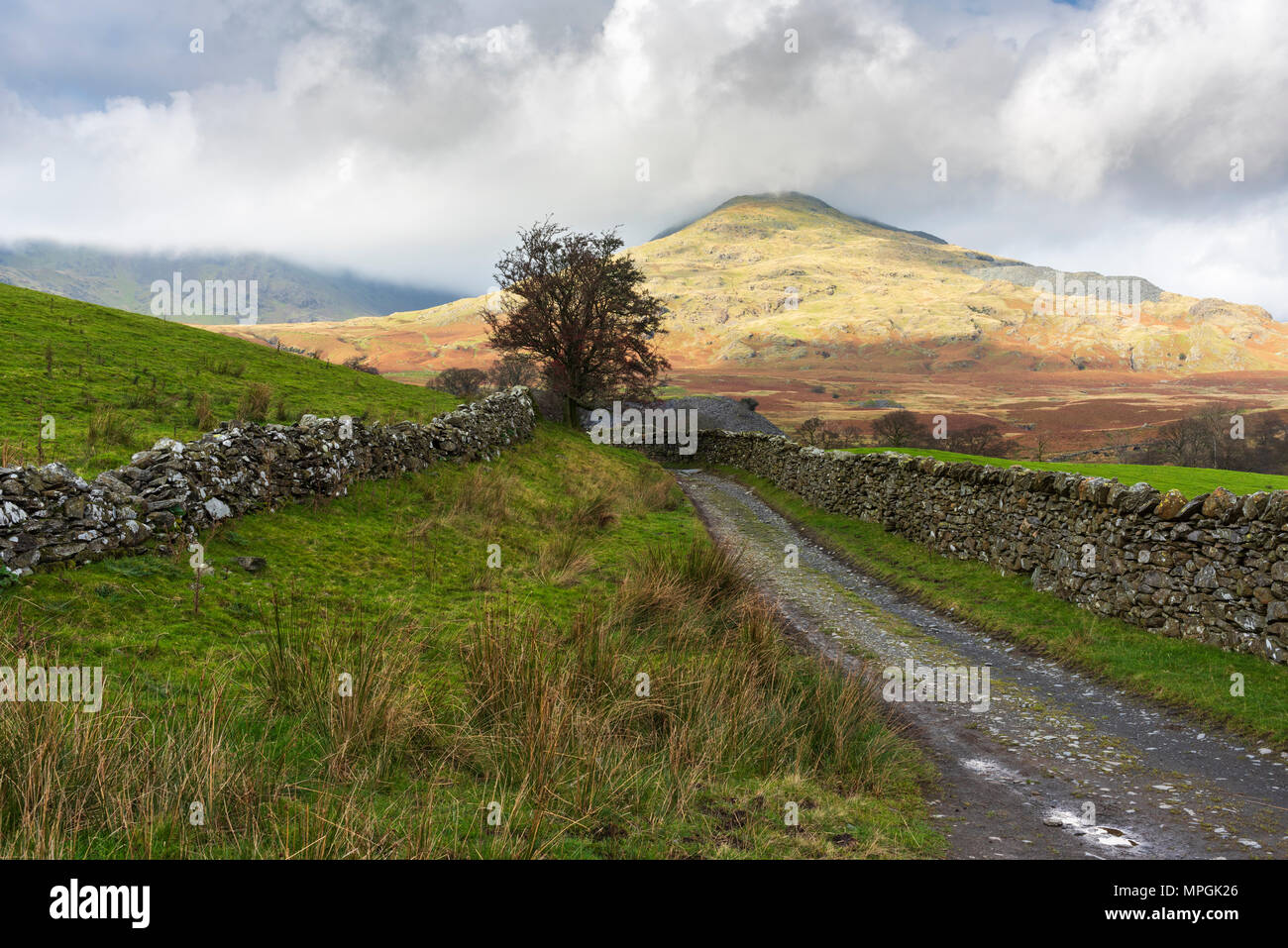 Von einem unaufgeräumten Lane in der Nähe von torver mit dem alten Mann von Coniston jenseits im Nationalpark Lake District, Cumbria, England. Stockfoto