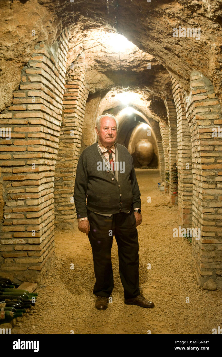 Weinkeller. Hita, Guadalajara, Spanien. Stockfoto
