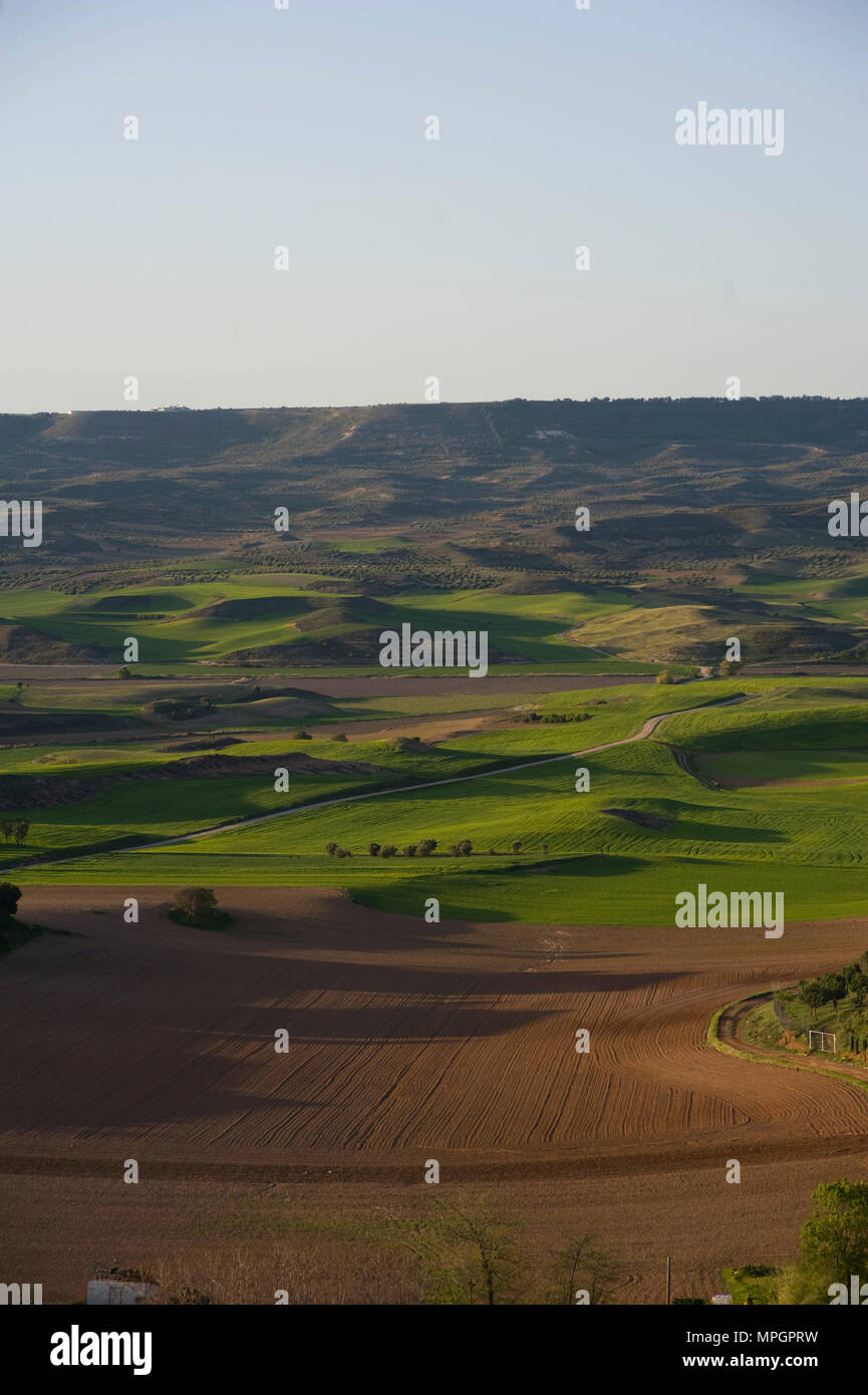 Hita, Guadalajara, Spanien. Stockfoto
