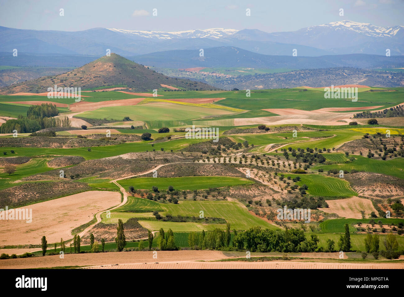 Hita, Guadalajara, Spanien. Stockfoto