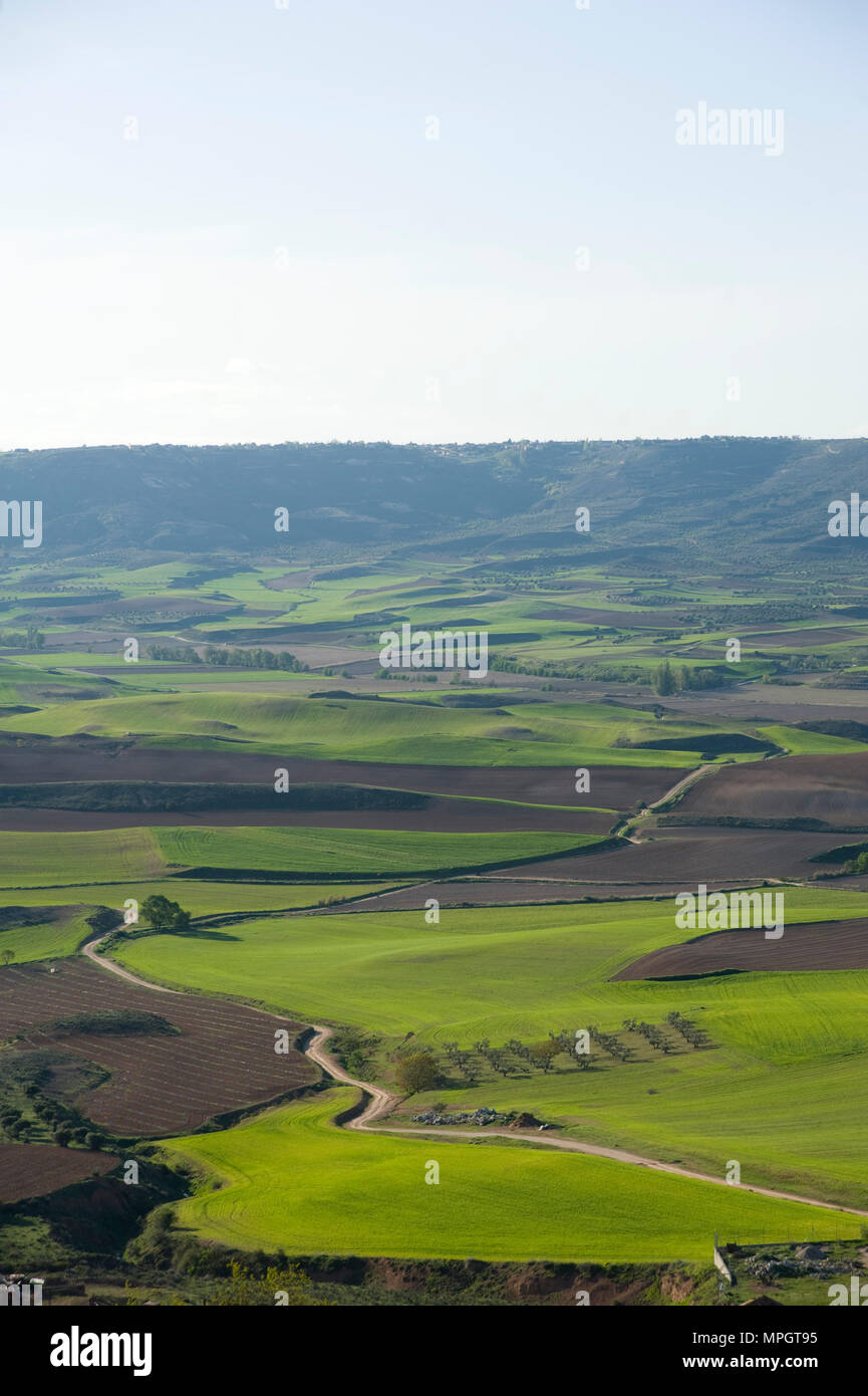 Blick von der Burg. Hita, Guadalajara, Spanien. Stockfoto