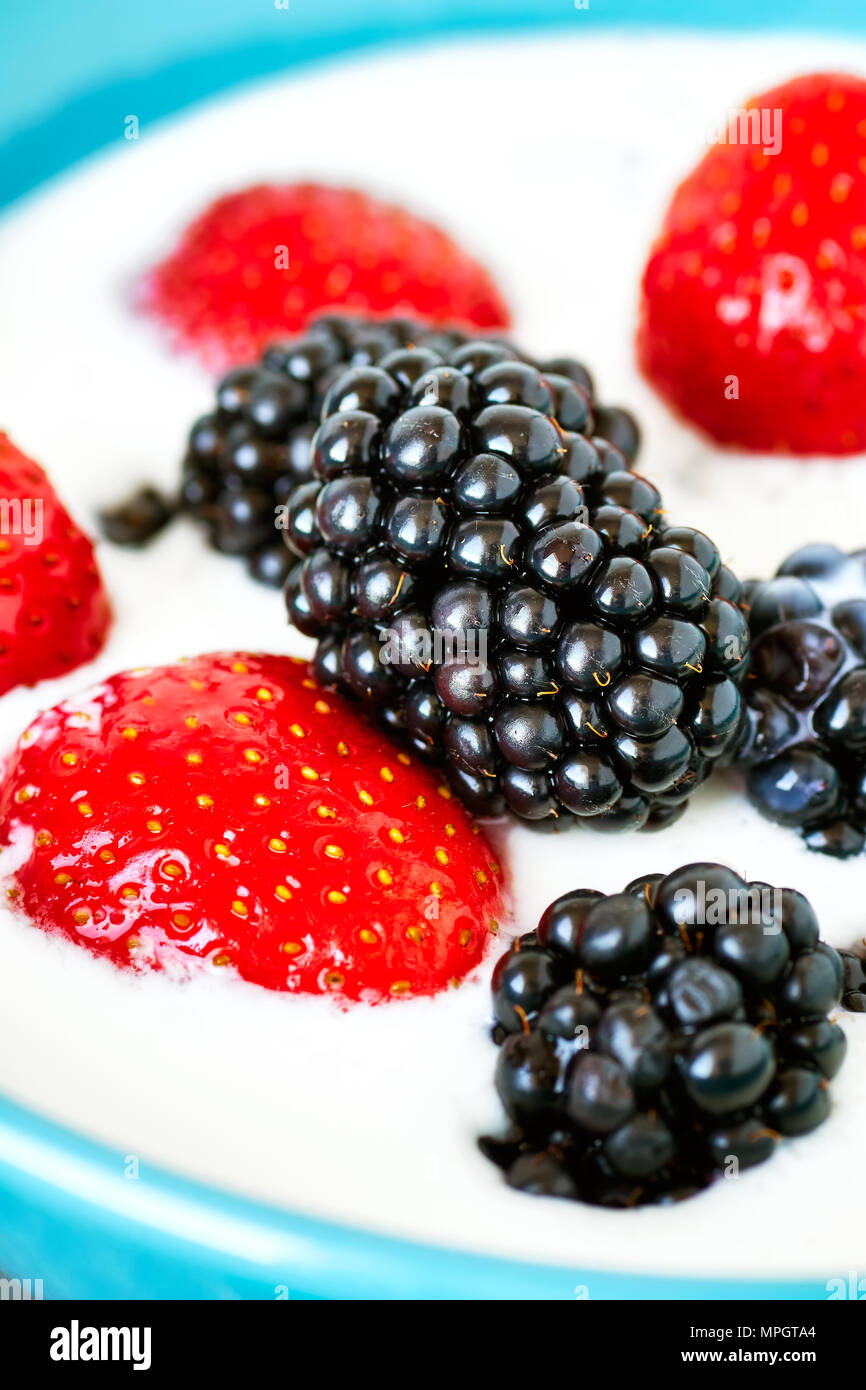 In der Nähe Bild von Brombeeren, Erdbeeren im Joghurt, geringe Tiefenschärfe. Stockfoto