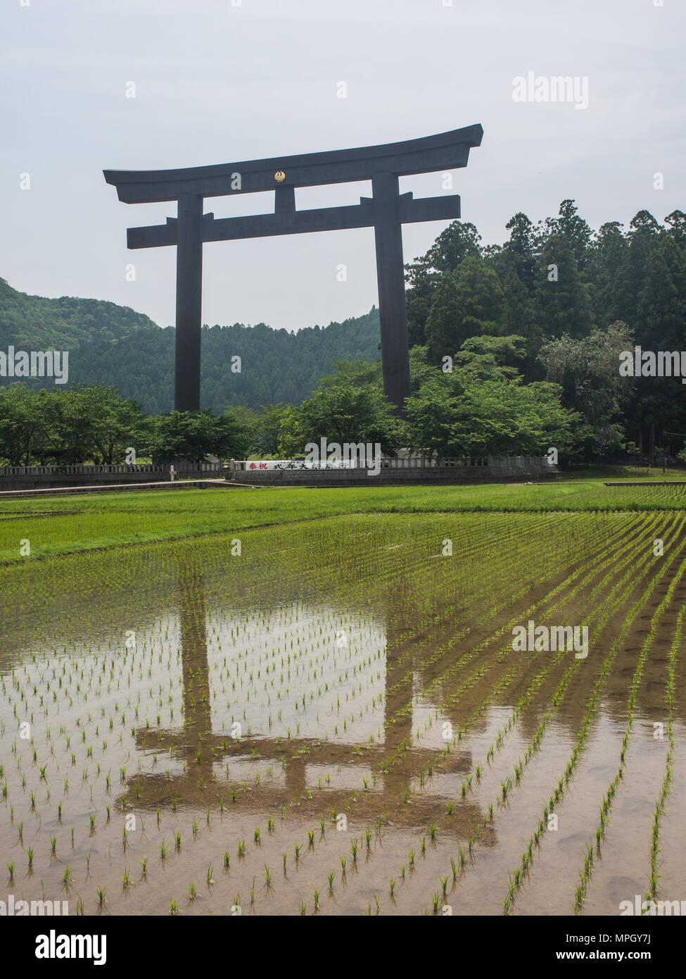 Otorii, größte torii Tor in der Welt am Eingang Oyunohara, ursprünglichen Speicherort von kumano Hongu Taisha Weltkulturerbe Schrein, Wakayama, Japan Stockfoto