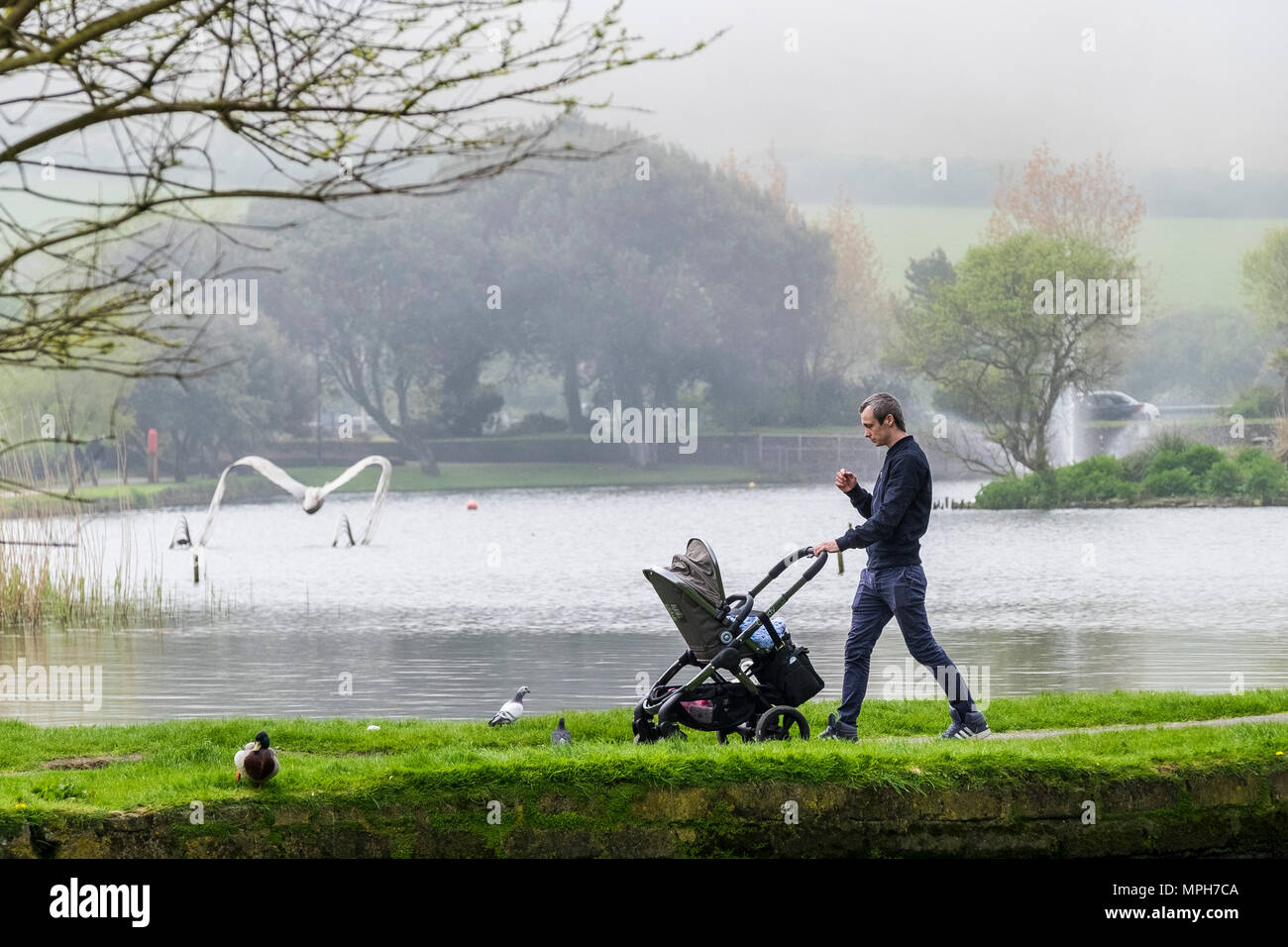 Ein Vater treibt ein Baby Buggy rund um einen See in Newquay in Cornwall. Stockfoto