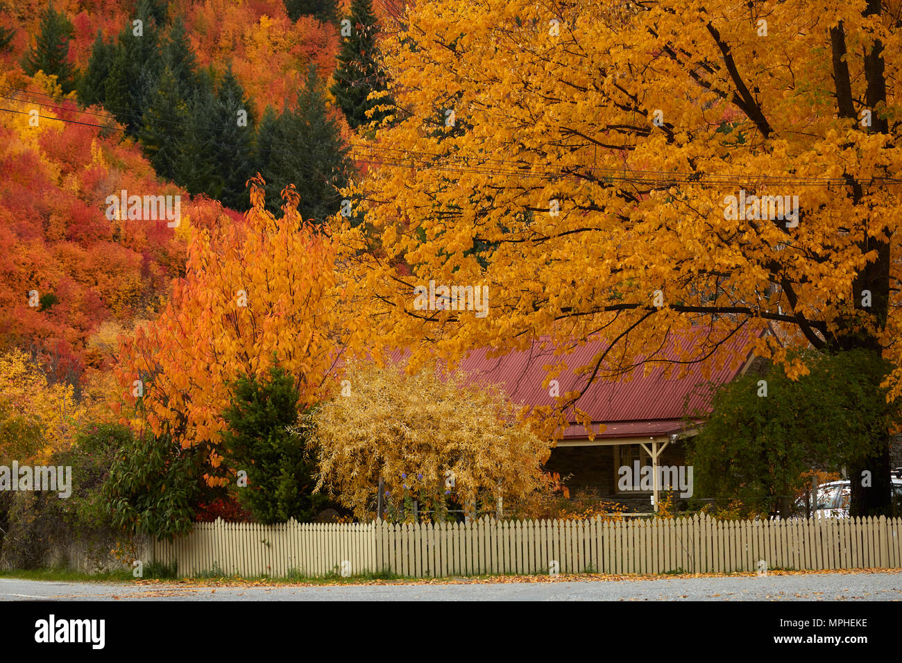 Herbstliche Farben, Arrowtown, in der Nähe von Queenstown, Otago, Südinsel, Neuseeland Stockfoto