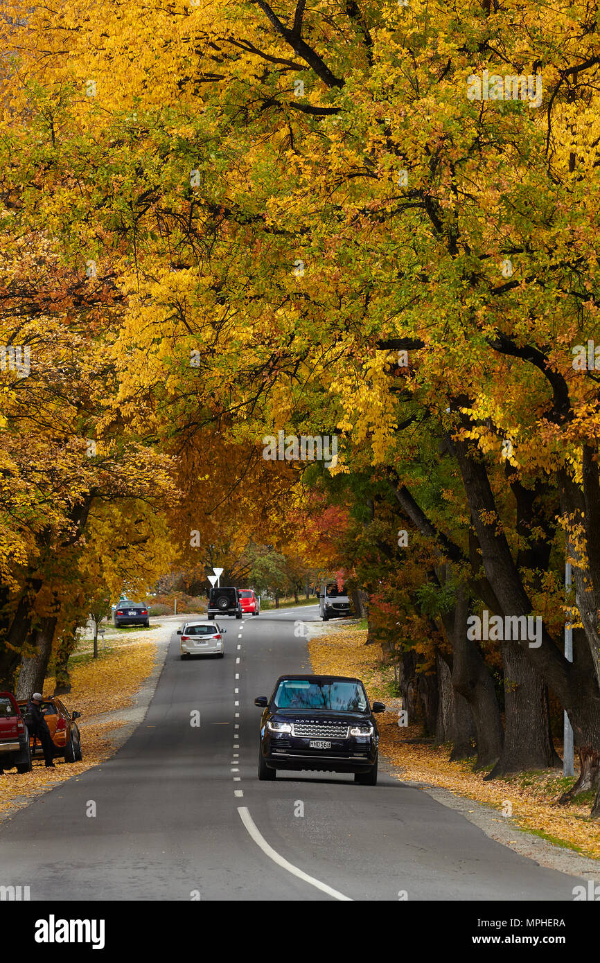 Herbst Farbe, Arrowtown, in der Nähe von Queenstown, Otago, Südinsel, Neuseeland Stockfoto