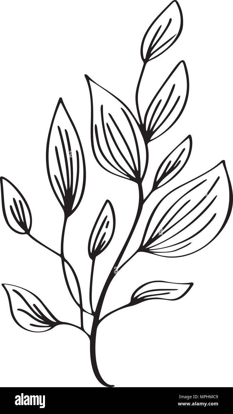Hand gezeichnet moderne Blumen Zeichnung und Skizze floral Mit line-Kunst, Vector Illustration Hochzeit Design für T-Shirts, Taschen, Poster, Grußkarten, auf weißem Hintergrund Stock Vektor