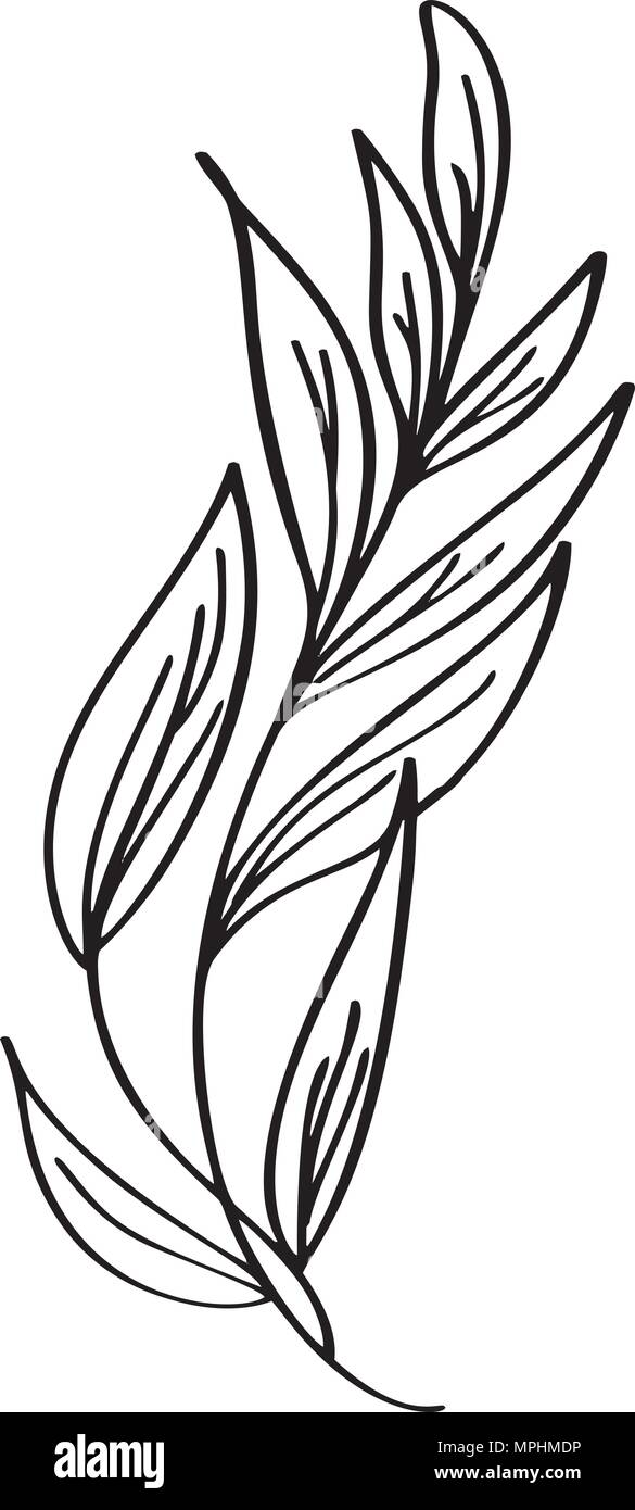 Hand gezeichnet moderne Blumen Zeichnung und Skizze floral Mit line-Kunst, Vector Illustration Hochzeit Design für T-Shirts, Taschen, Poster, Grußkarten, auf weißem Hintergrund Stock Vektor