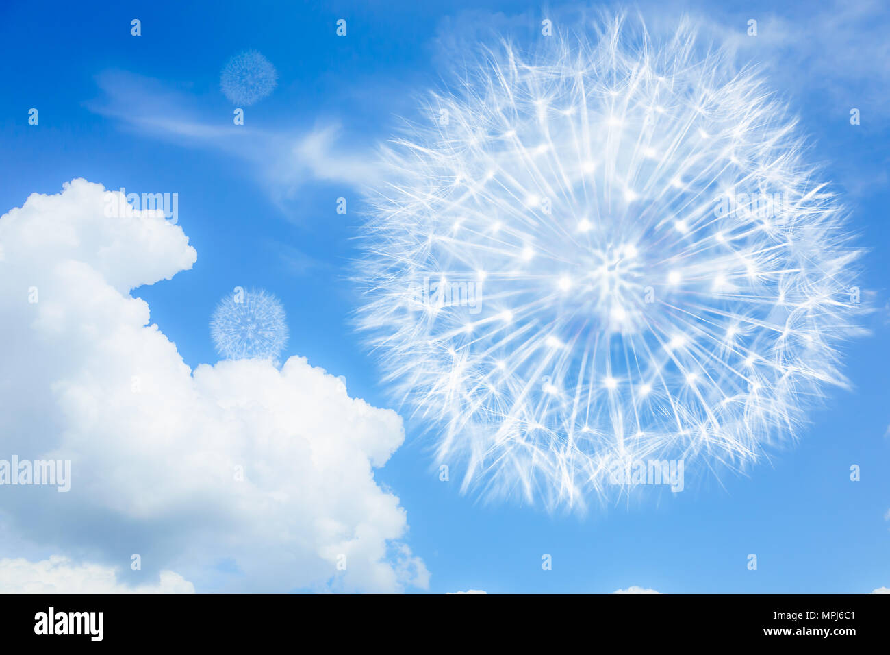 Hell und luftig Löwenzahn auf blauem Hintergrund mit Wolken. Blowballs als Symbol für Leichtigkeit, kalorienarme Ernährung, Reisen und Flug. Stockfoto