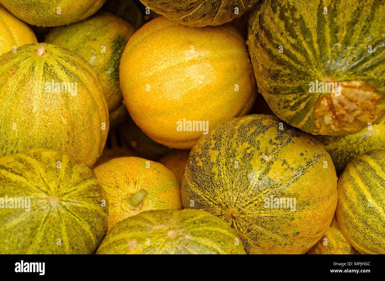 Melonen Stockfoto